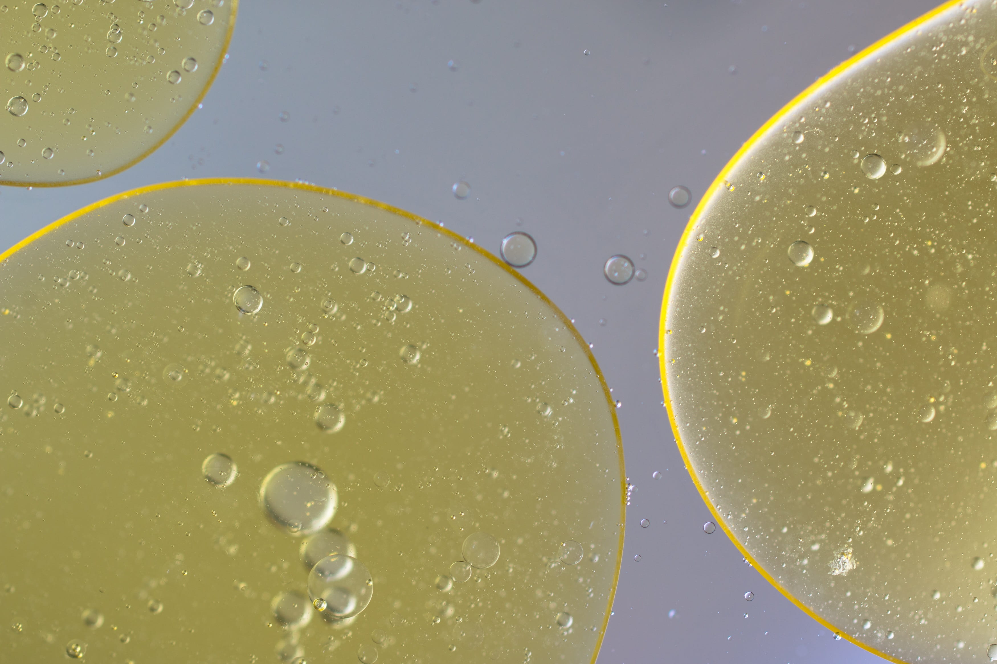 studio shot, water, close-up, tonic water, citrus fruit, cells, macro, oil eye, freshness, 2K, drop, oil, background, food and drink, carbonated, gin, HD Wallpaper