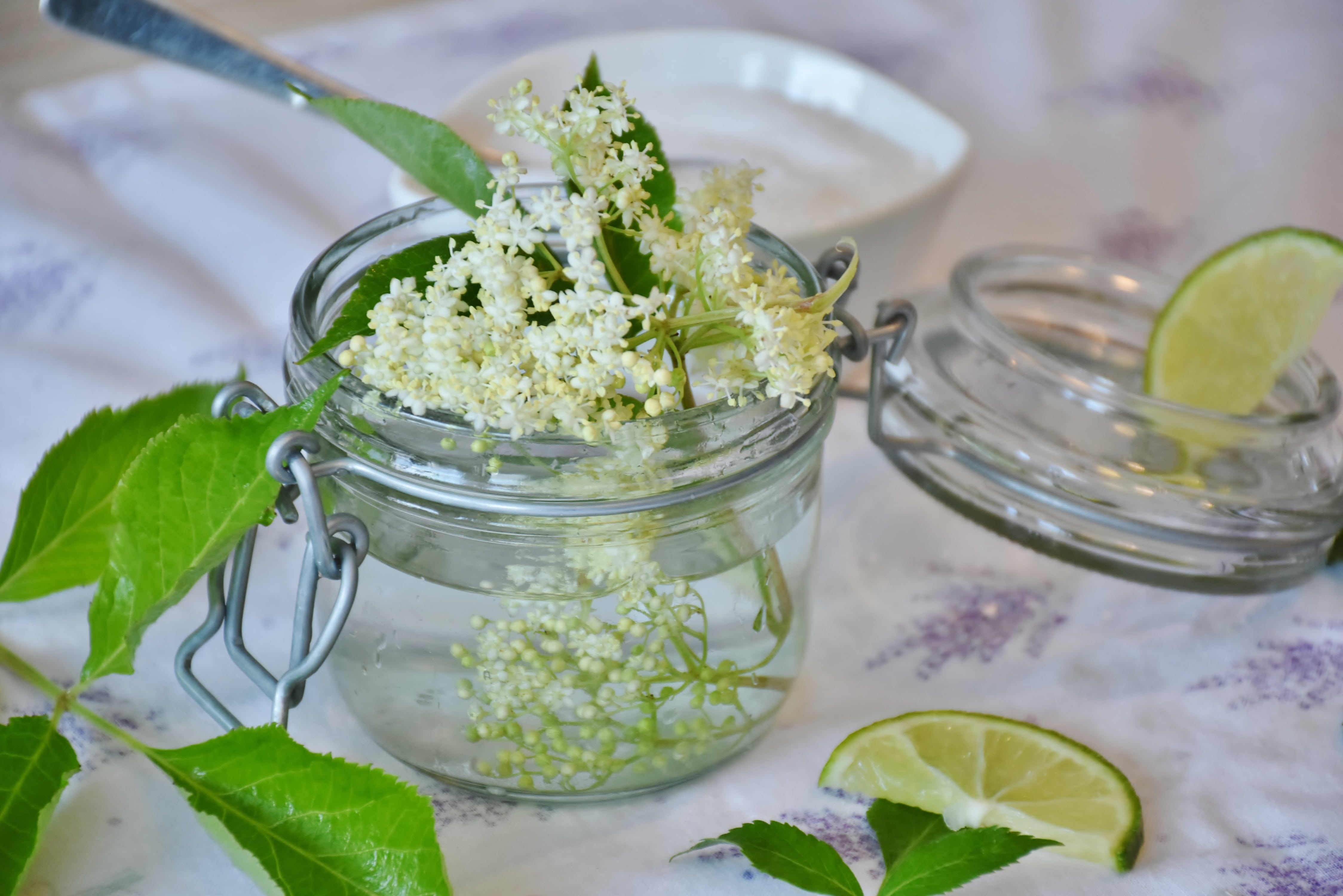 vitamins, water, table, leaf, cocktail, citrus fruit, heat, herb, food and drink, drink, flowers, elder, lid, clustered, sugar, indoors, no people, elderflower, HD Wallpaper