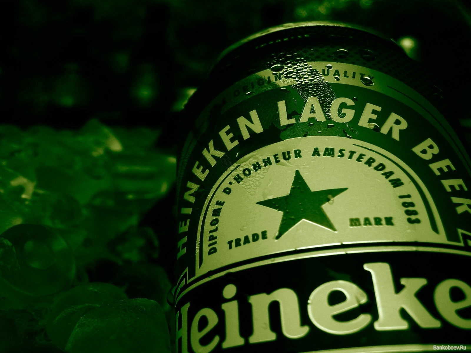 night, instrument of measurement, time, communication, western script, heineken lager, plant, plant part, outdoors, green color, leaf, sign, focus on foreground, HD Wallpaper
