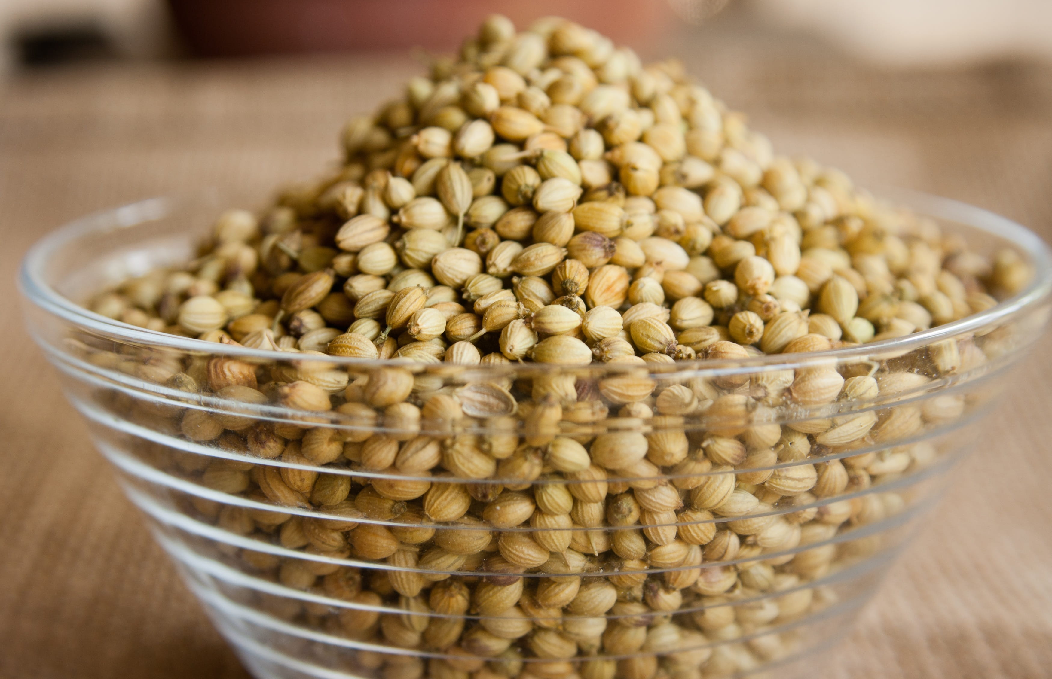 food and drink, craft beer, 2K, flavour, agriculture, indoors, barley, focus on foreground, no people, cilantro, selective focus, Seeds, seasoning, freshness, HD Wallpaper
