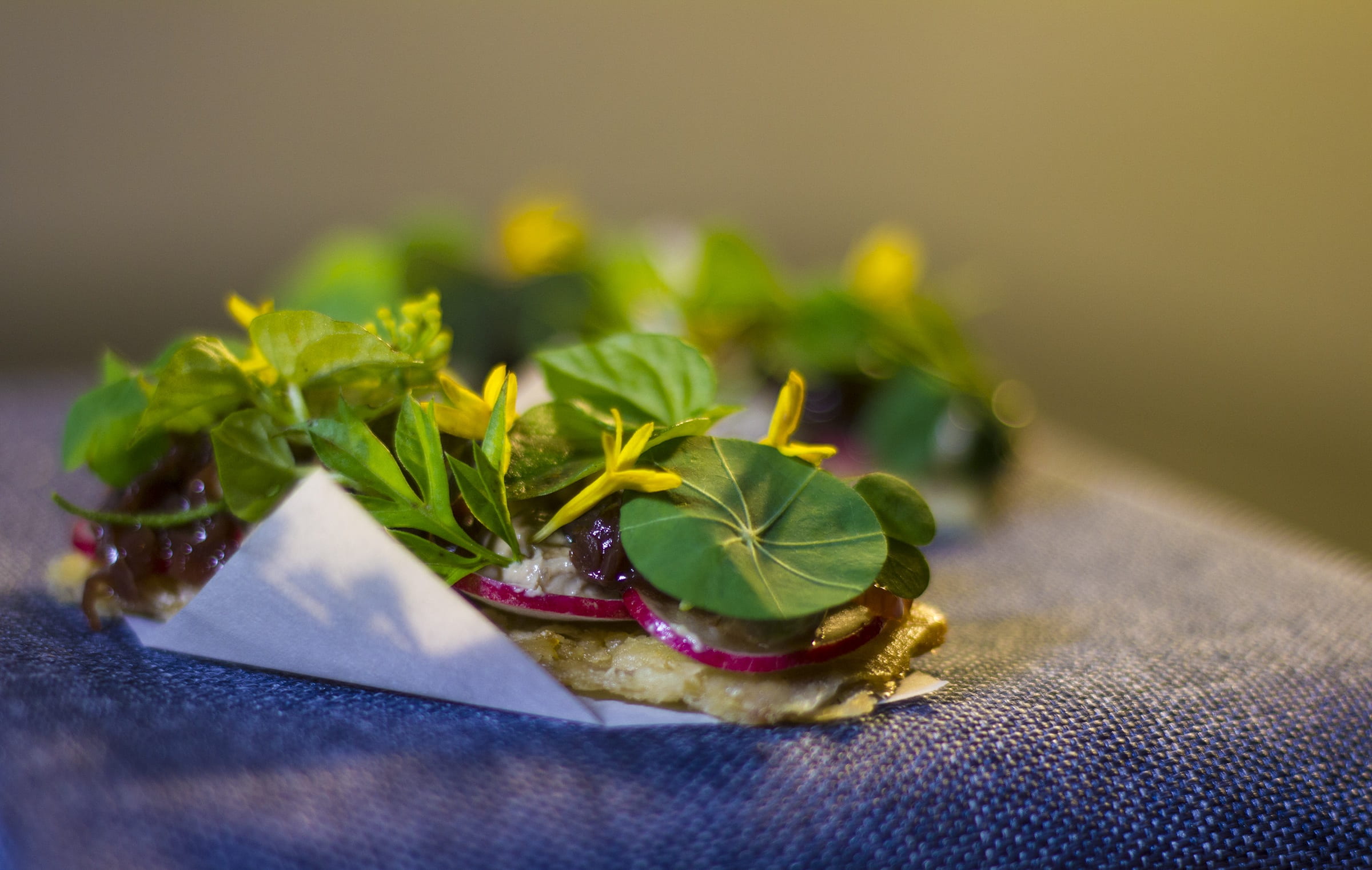 indoors, chicken, wellbeing, arugula, 1080P, food, ready-to-eat, liver, herb, no people, close-up, still life, duck, italian food, luxury, garnish, parfait, HD Wallpaper