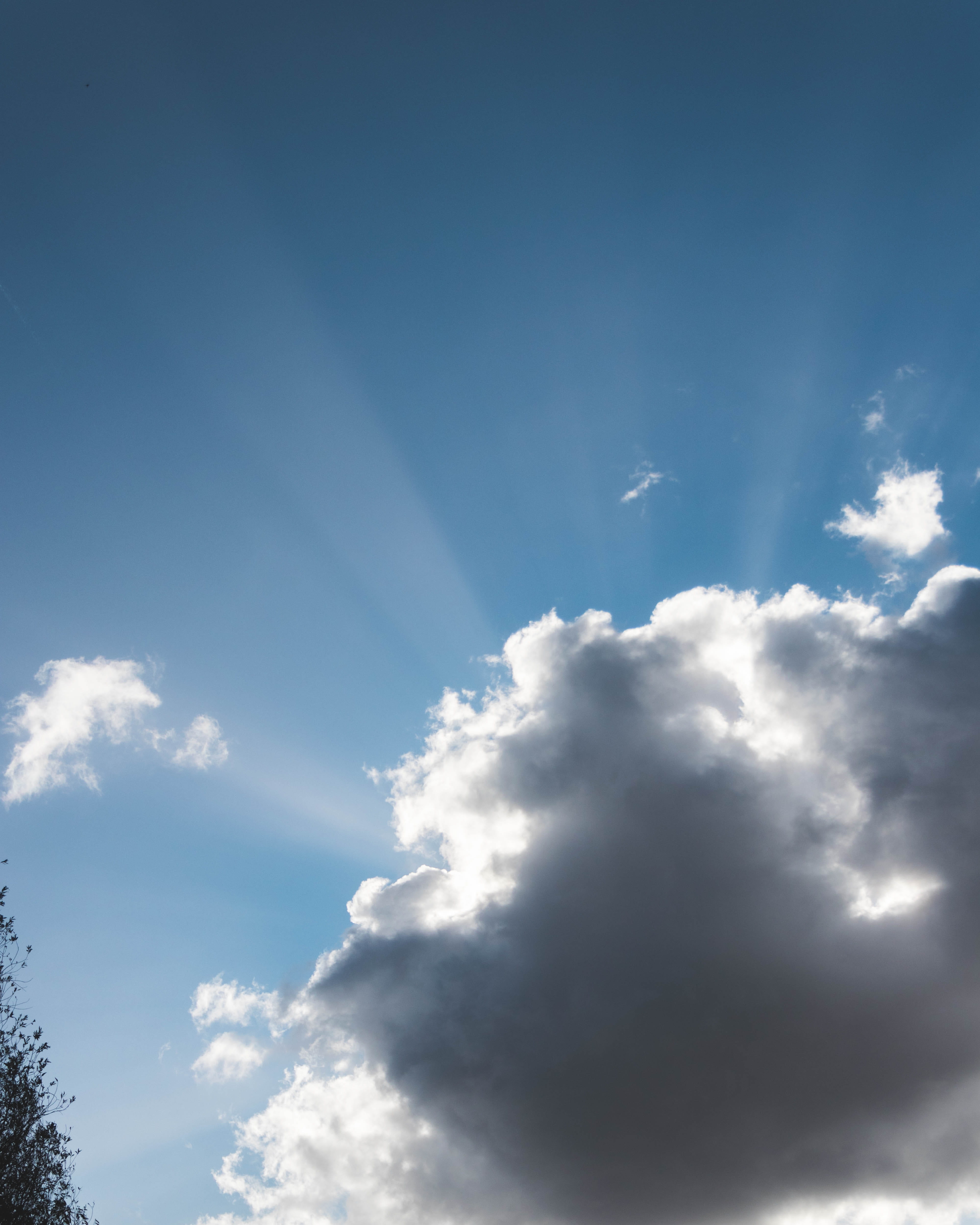 canon, meteorology, tranquil scene, beauty in nature, sunbeam, low angle view, sunlight, belgium, canon80d, white color, mariakerke, ghent, sky, tranquility, Phone HD Wallpaper