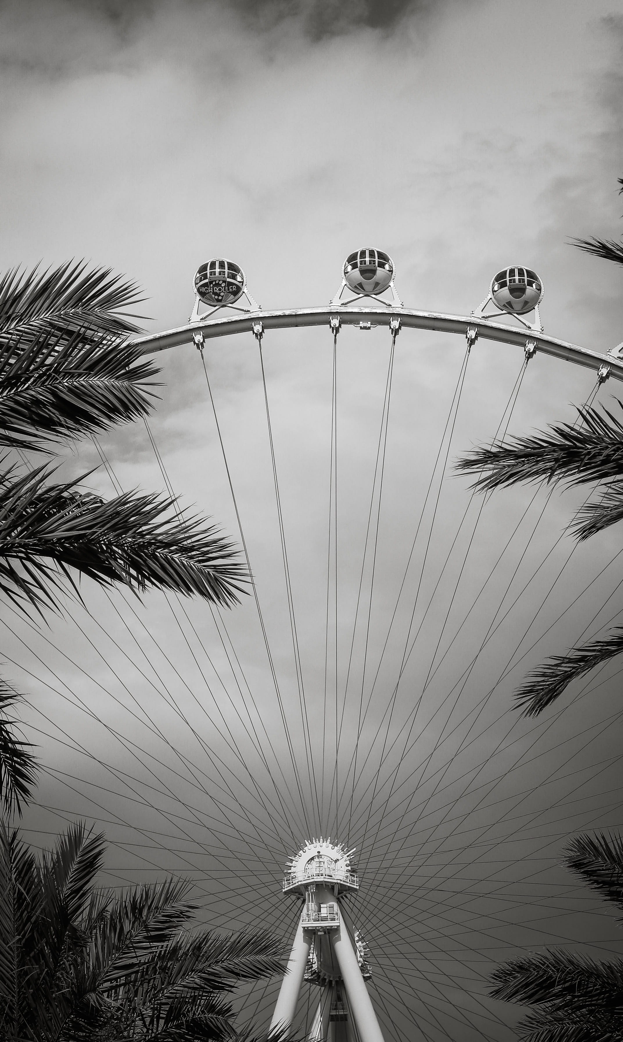 famous Place, roller, entertainment, nature, plant, grayscale, tree, arts culture and entertainment, beauty in nature, Las Vegas, photography, outdoors, Phone HD Wallpaper