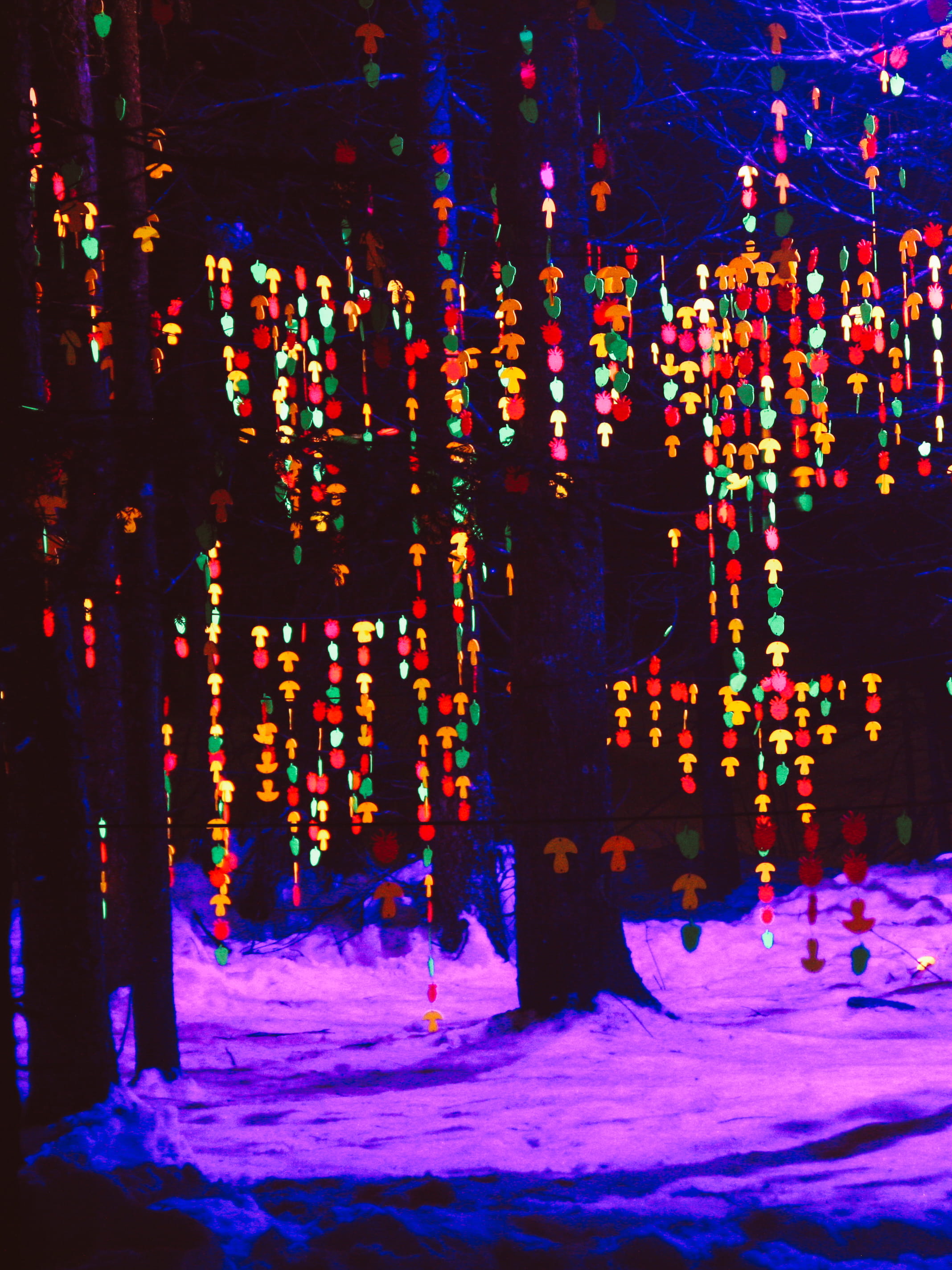 nature, mural, multi colored, shop, art, winter, lighting equipment, lights, teal, ornament, lighting, celebration, motion, modern art, outdoors, decor, Phone HD Wallpaper