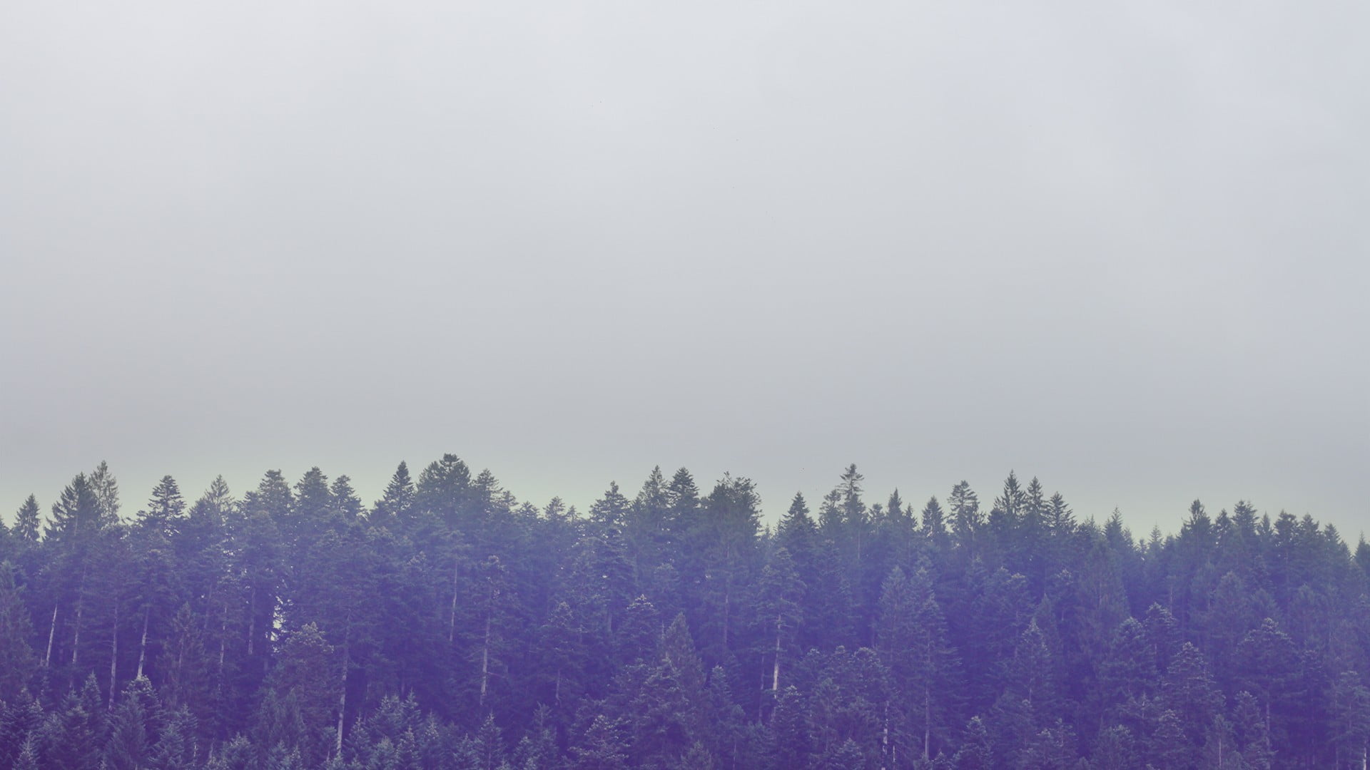 beauty in nature, Europe, muted, plant, land, pine tree, Italy, purple, 1080P, landscape, tree, winter, no people, mountains, tranquility, outdoors, nature, HD Wallpaper