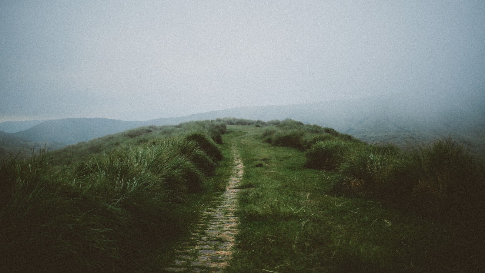 muted, faded, 720P, nature, landscape, grass, mist, green, path, HD Wallpaper