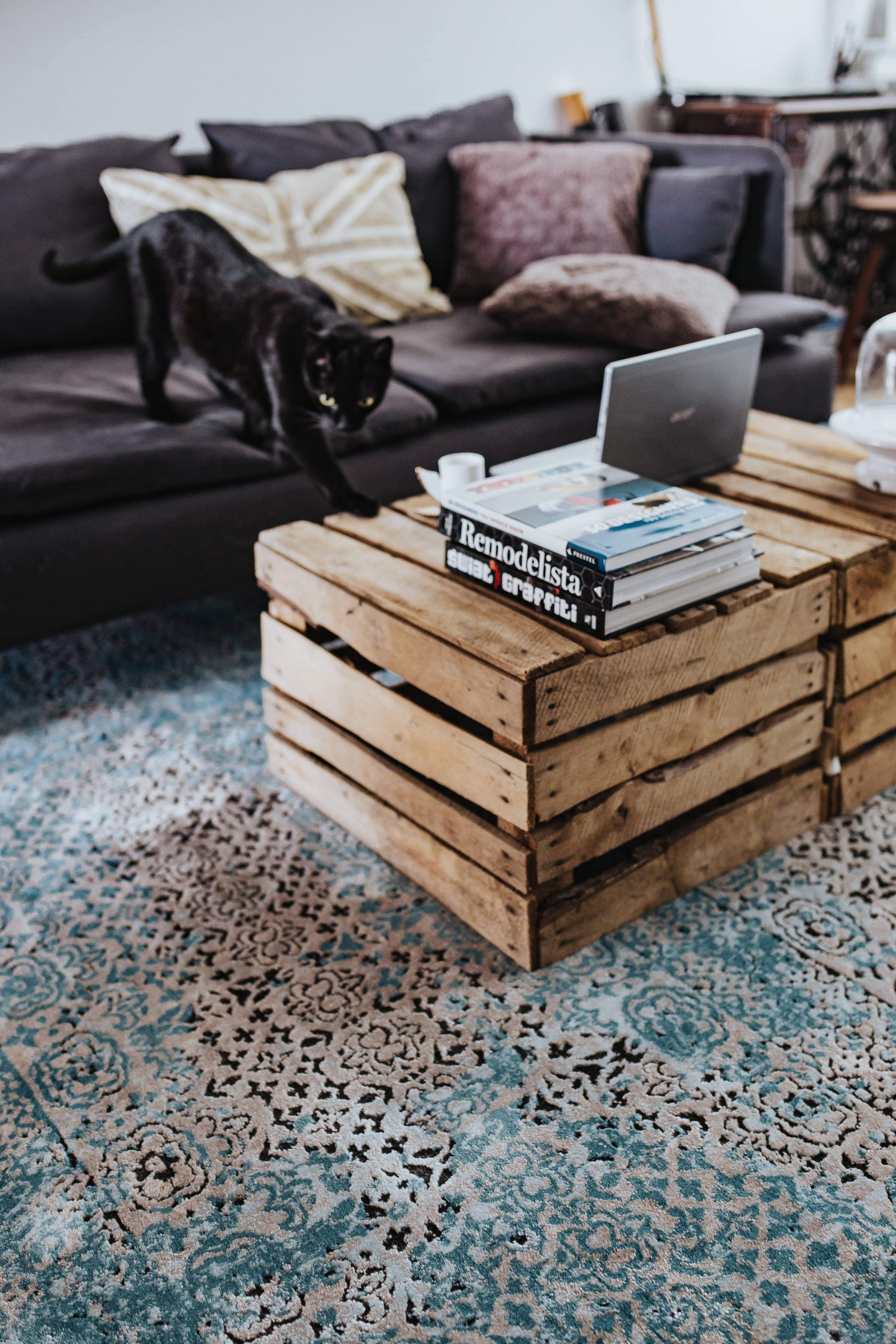 pillow, room, wood - Material, day, light blue, focus on foreground, living, interior, pets, light, decoration, wooden box, book, no People, mammal, wooden, Phone HD Wallpaper