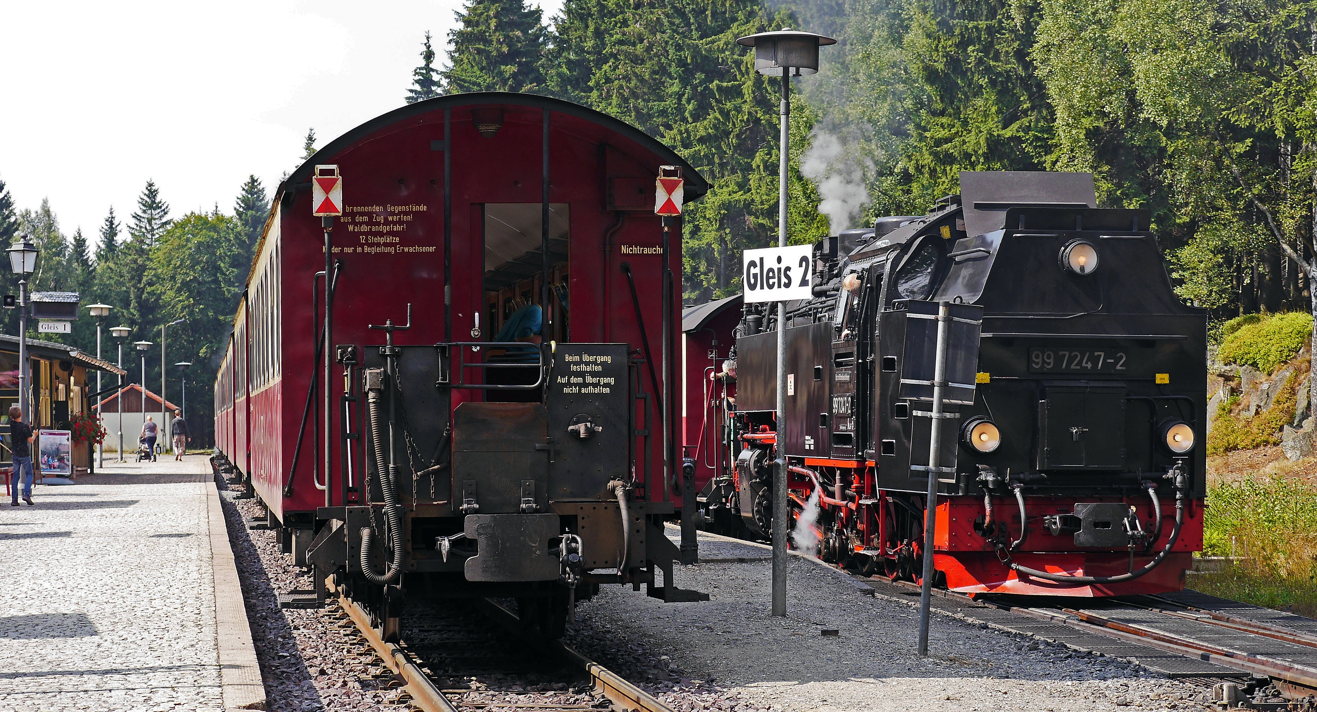 train, day, wagon, nostalgia, travel, schierke, train - vehicle, historically, Railway Station, locomotive, rail transportation, train meeting, plant, railroad track, HD Wallpaper