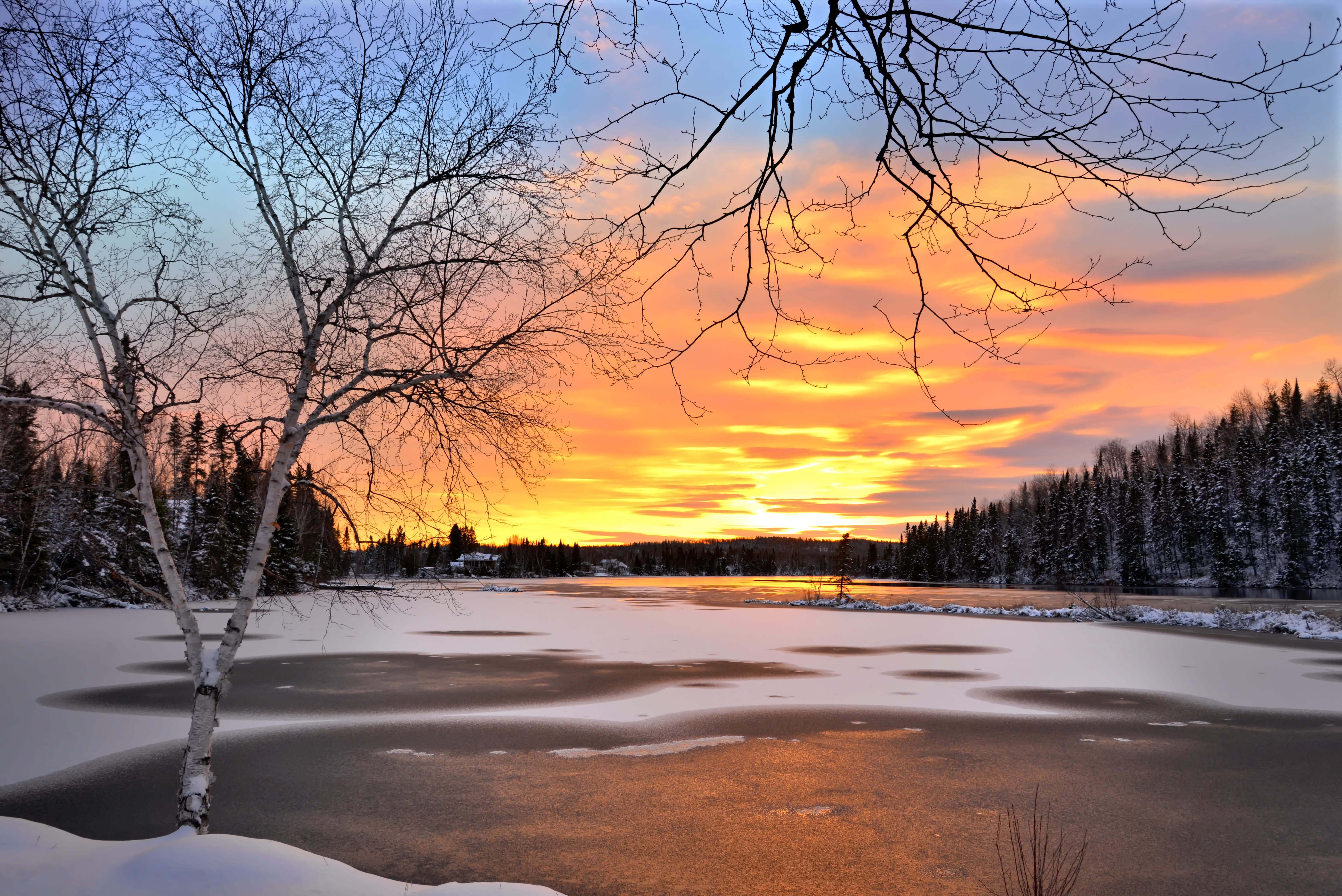 water, orange color, winter white, plant, branches, birch, sky, tranquil scene, tree, tranquility, winter, winter landscape, outdoors, nature, no people, HD Wallpaper