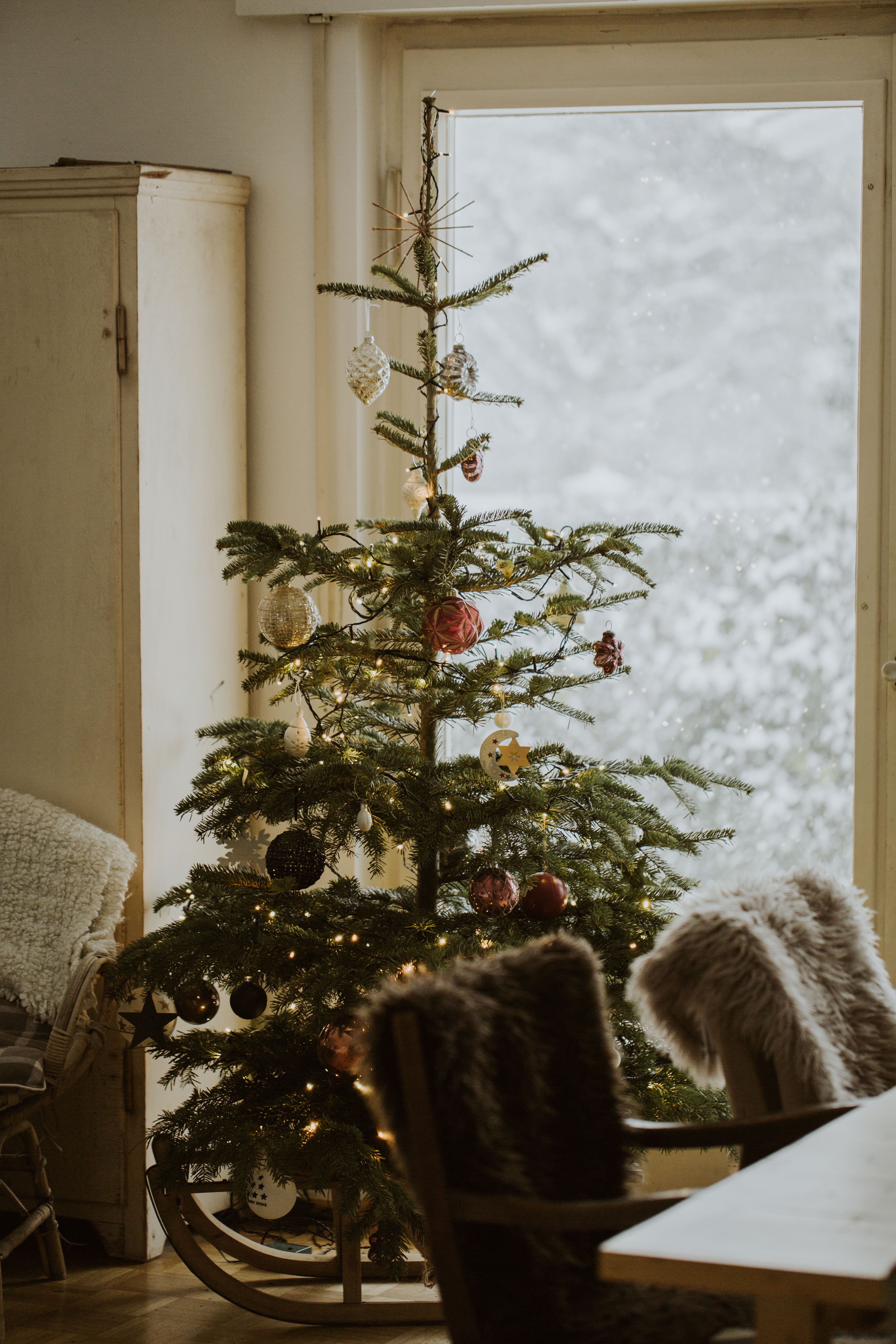 snow, room, nature, holiday - event, color, light, no people, plant, christmas, hygge, vertebrate, potted plant, christmas decoration, home interior, mammal, Phone HD Wallpaper
