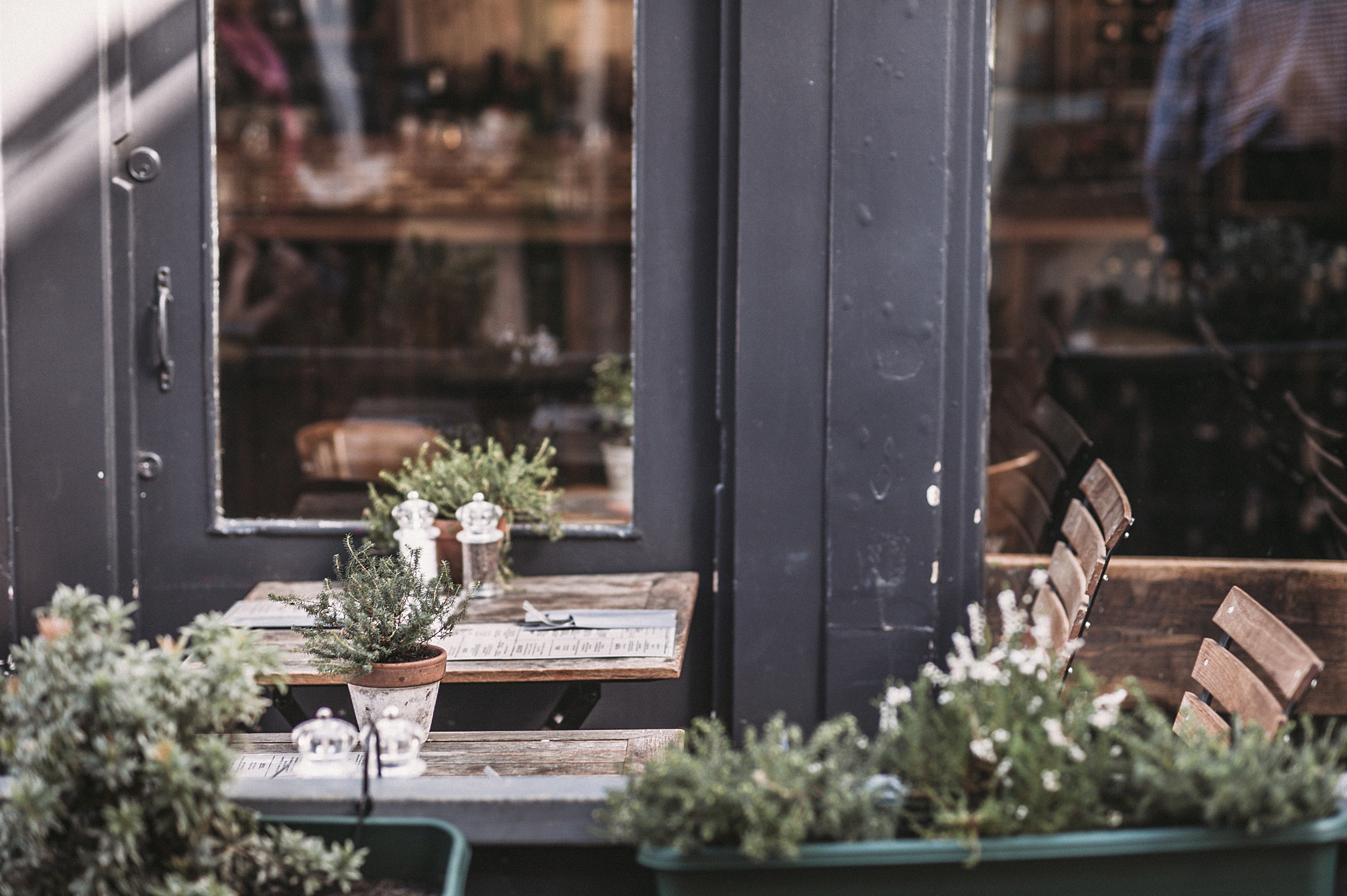 daylight, patio, garden, restaurant, door, day, plant, window, growth, decoration, outdoors, chairs, table, flowers, flower pot, flower, focus on foreground, HD Wallpaper