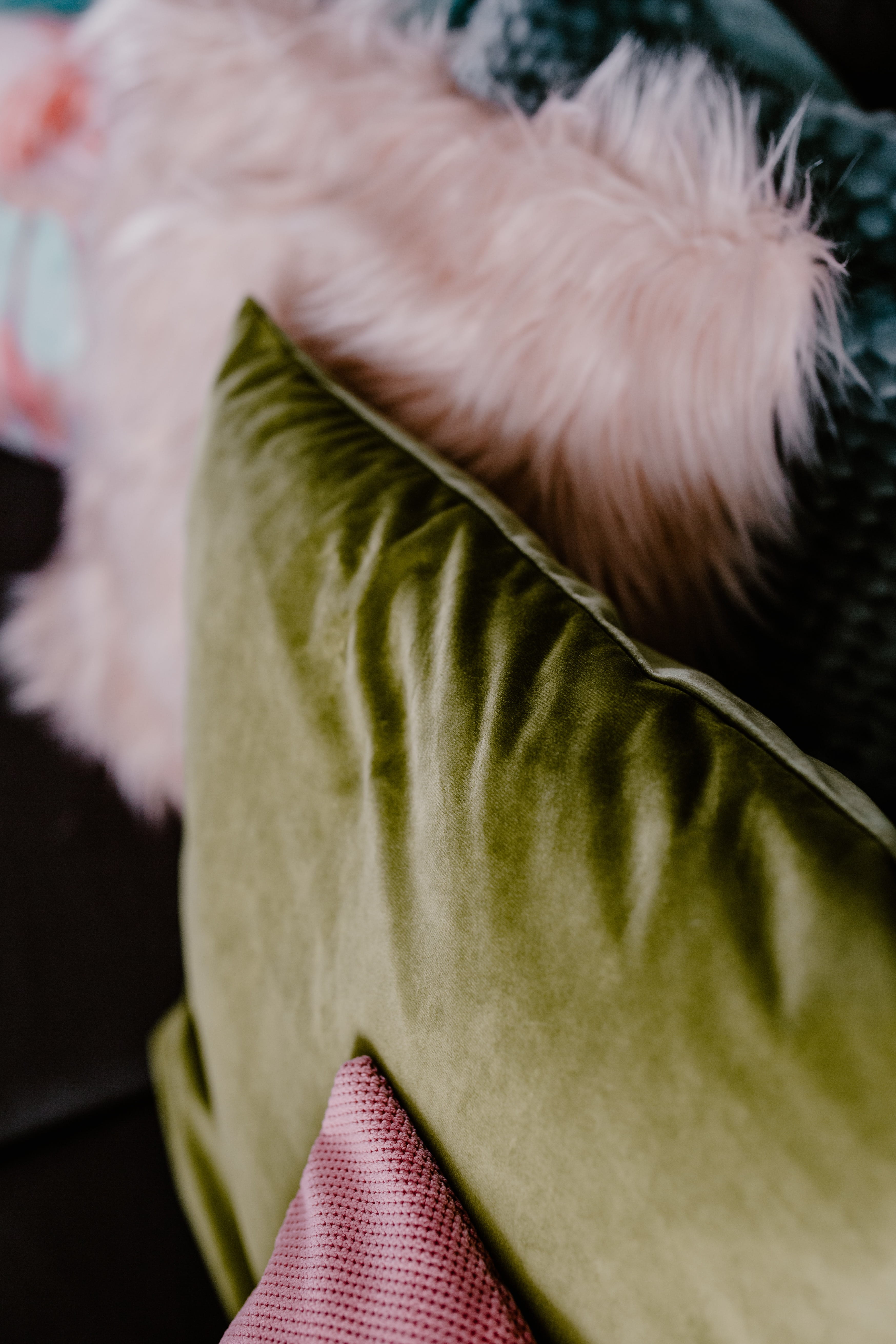 spring, child, rear view, dishware, close-up, glass, living room, midsection, day, room, clothing, 5K, indoors, decorations, hair, real people, holding, Phone HD Wallpaper