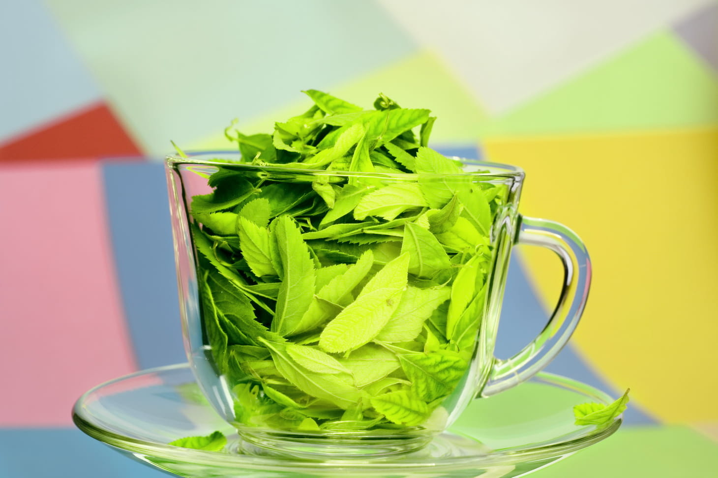 saucer, tea, beverage, dishware, green color, vegetable, curve, healthy eating, mug, leaf, shiny, crockery, nutrition, beautiful, organic, fresh, close-up, HD Wallpaper