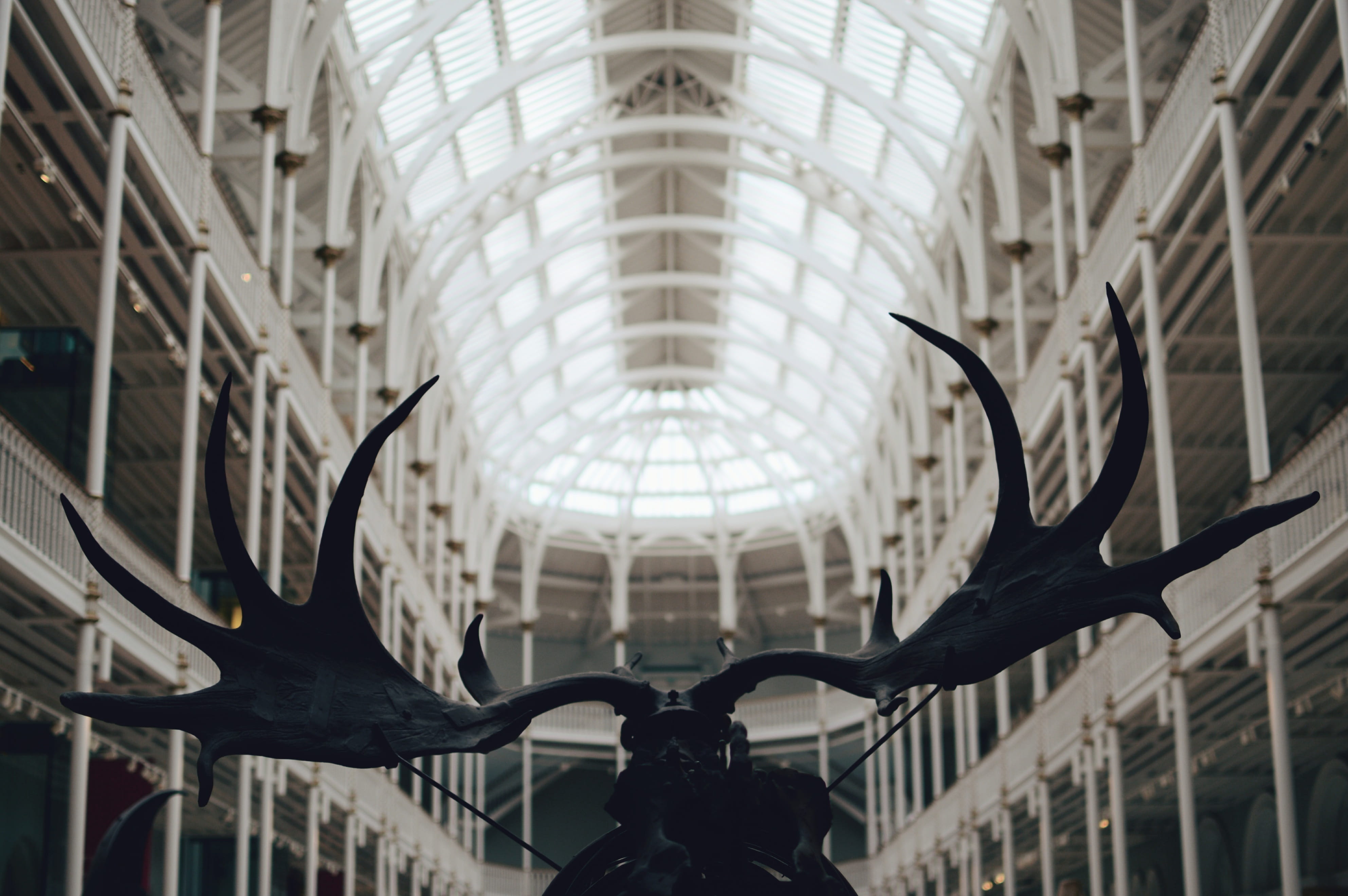 built Structure, low angle view, building, office, architectural column, history, museum, ceiling, scotland, edinburgh, photos, architecture And Buildings, HD Wallpaper