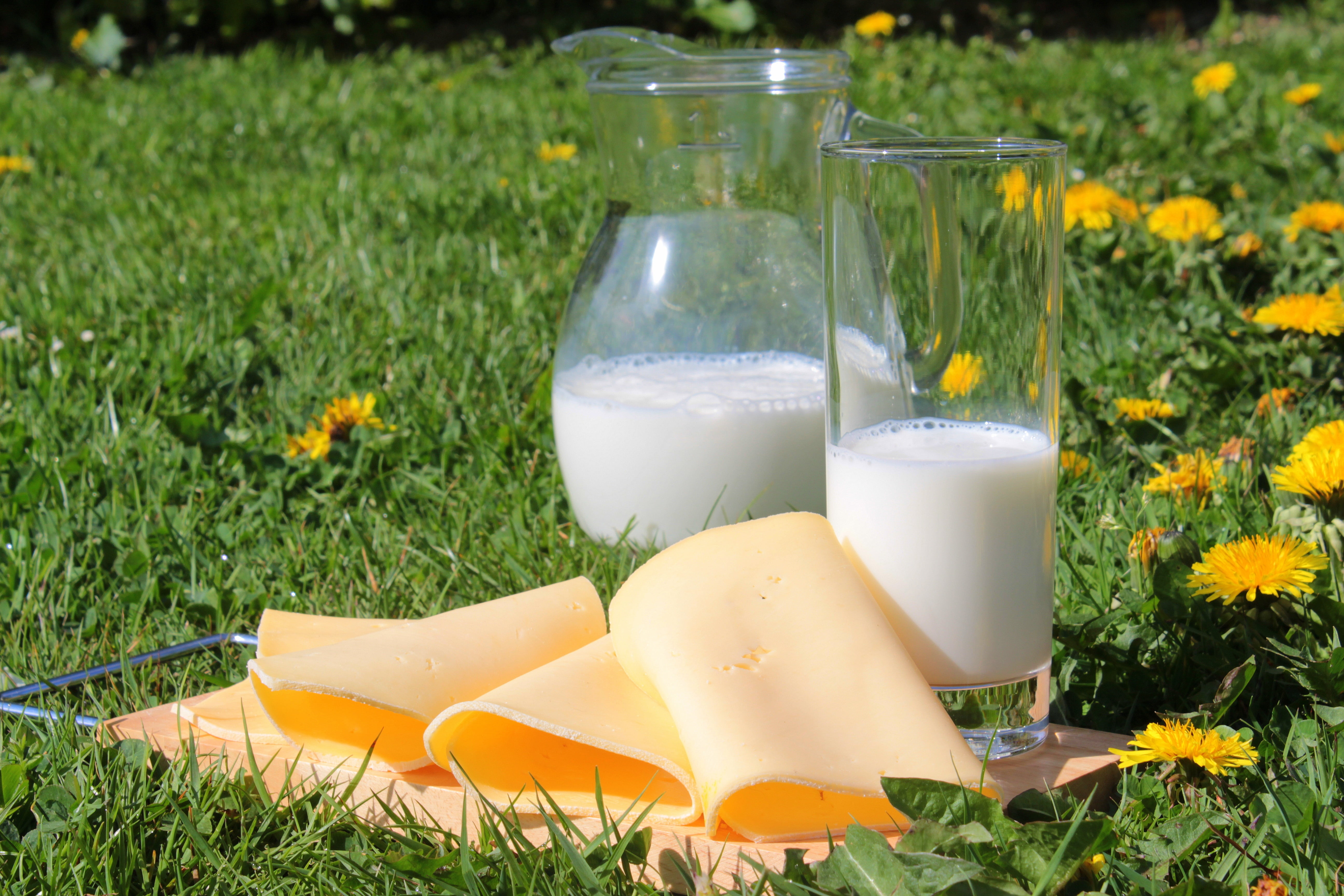protein, breakfast, freshness, milk products, no people, flowering plant, yellow, clear, highball, delicious, milk Bottle, beauty in nature, cheese, green, HD Wallpaper
