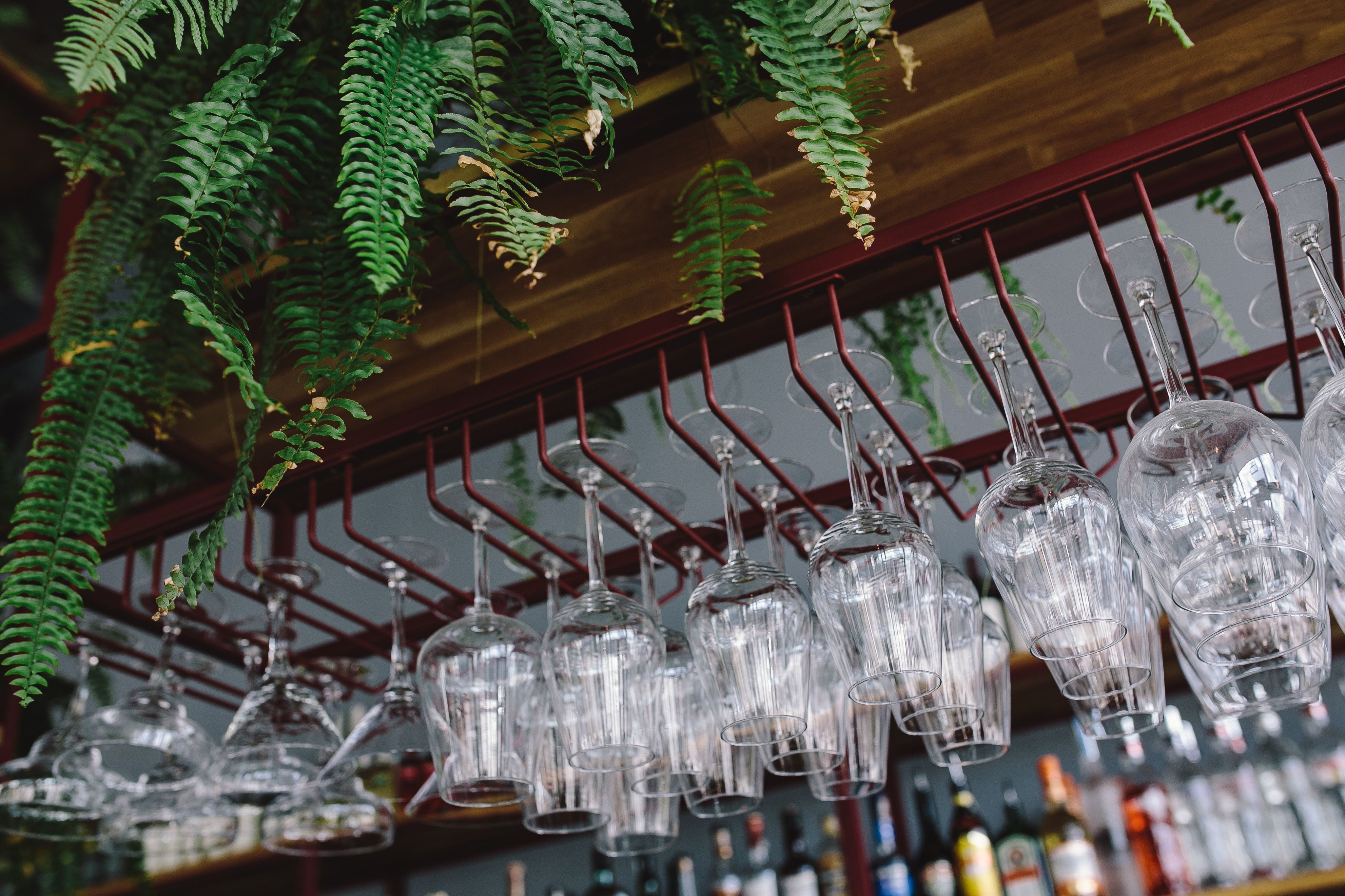 empty, selective focus, spirituality, wineglass, focus on foreground, restaurant, bunch, hanging, plant, large group of objects, 4K, fragile, crystal, HD Wallpaper