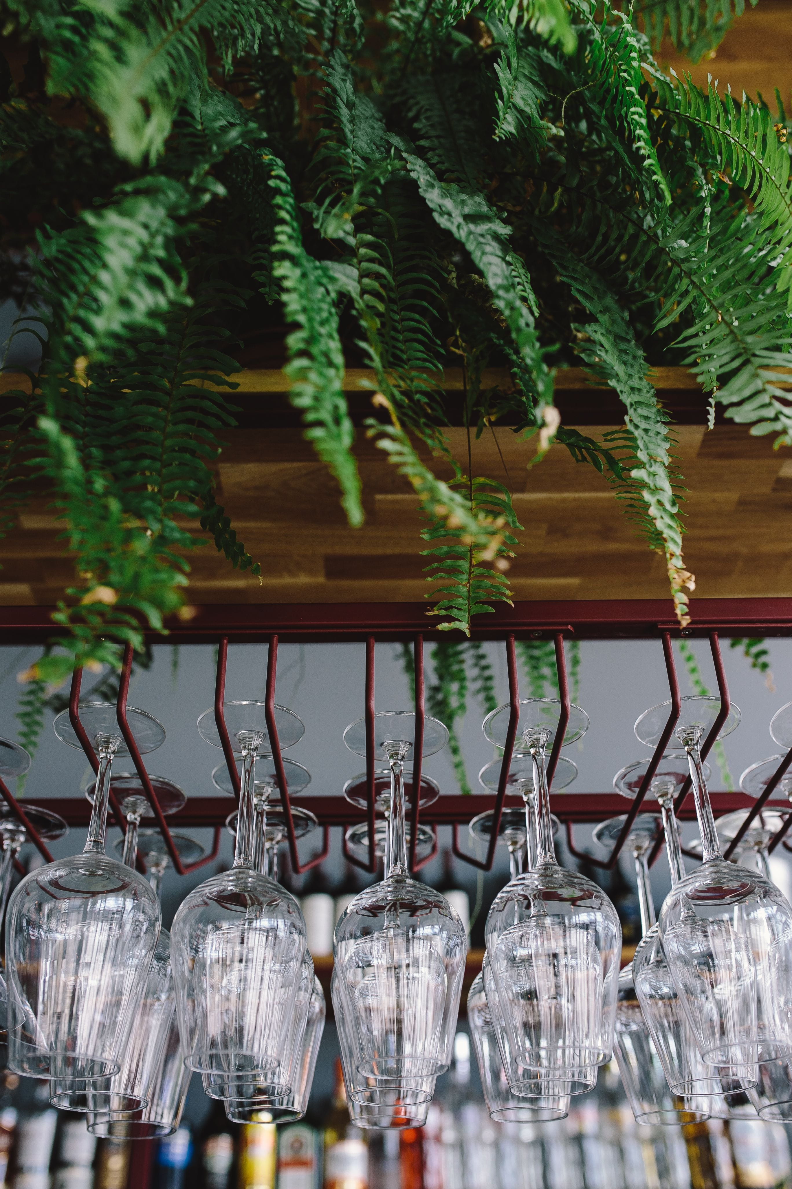 holder, wine, transparent, celebration, empty, fragile, no people, bar, 4K, alcohol, tree, cultures, focus on foreground, decoration, glass, big, christmas, Phone HD Wallpaper