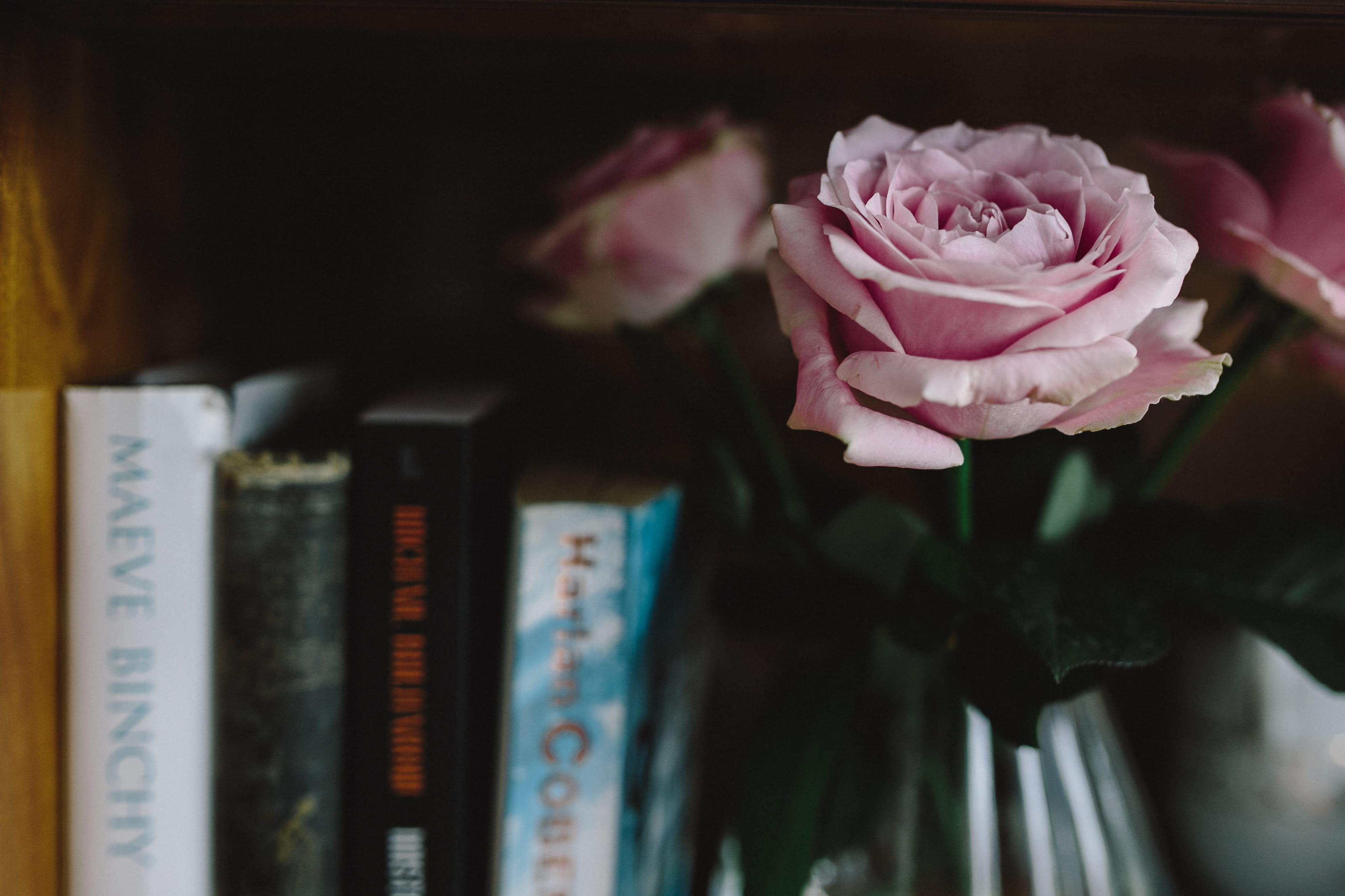 romance, freshness, flower arrangement, beauty in nature, fragility, plant, pink color, arrangement, rose, focus on foreground, time, books, love, cup of coffee, HD Wallpaper