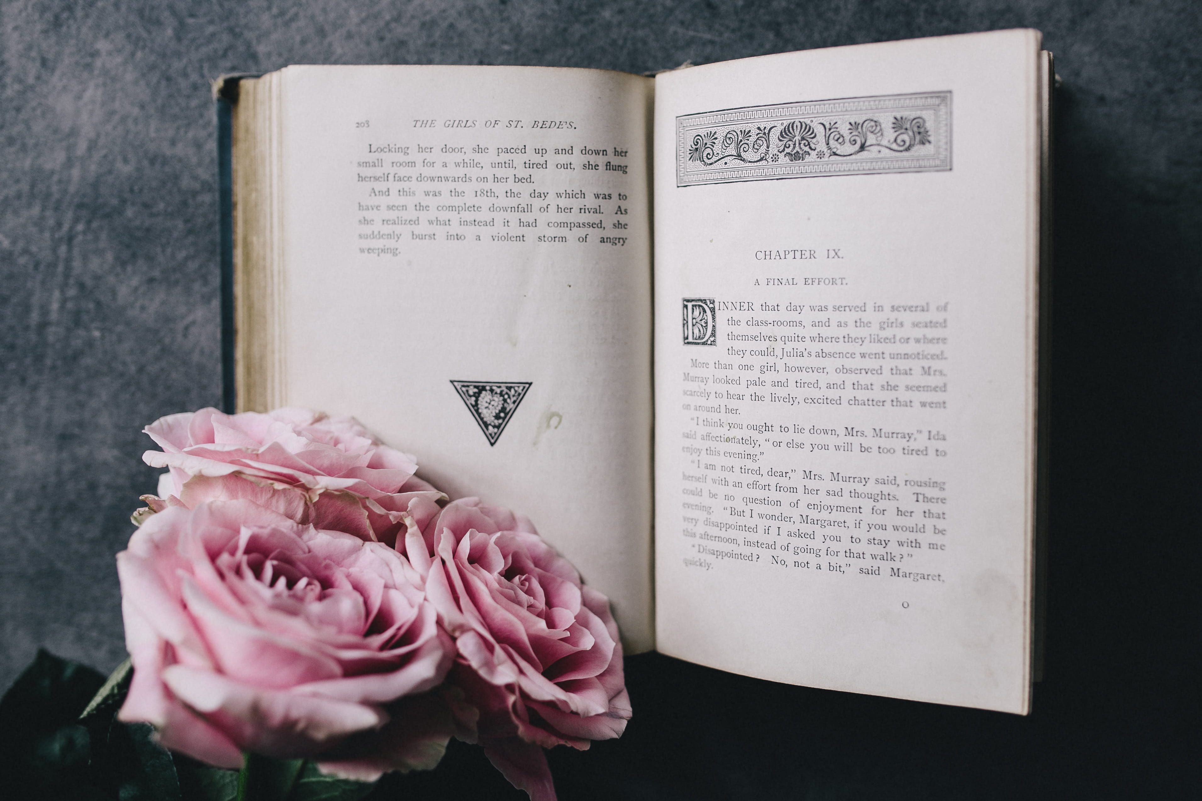 celebration, indoors, nature, lovely, communication, 2K, beauty in nature, reading, time, pink color, books, flower head, relax, essentials, flower, interior, HD Wallpaper