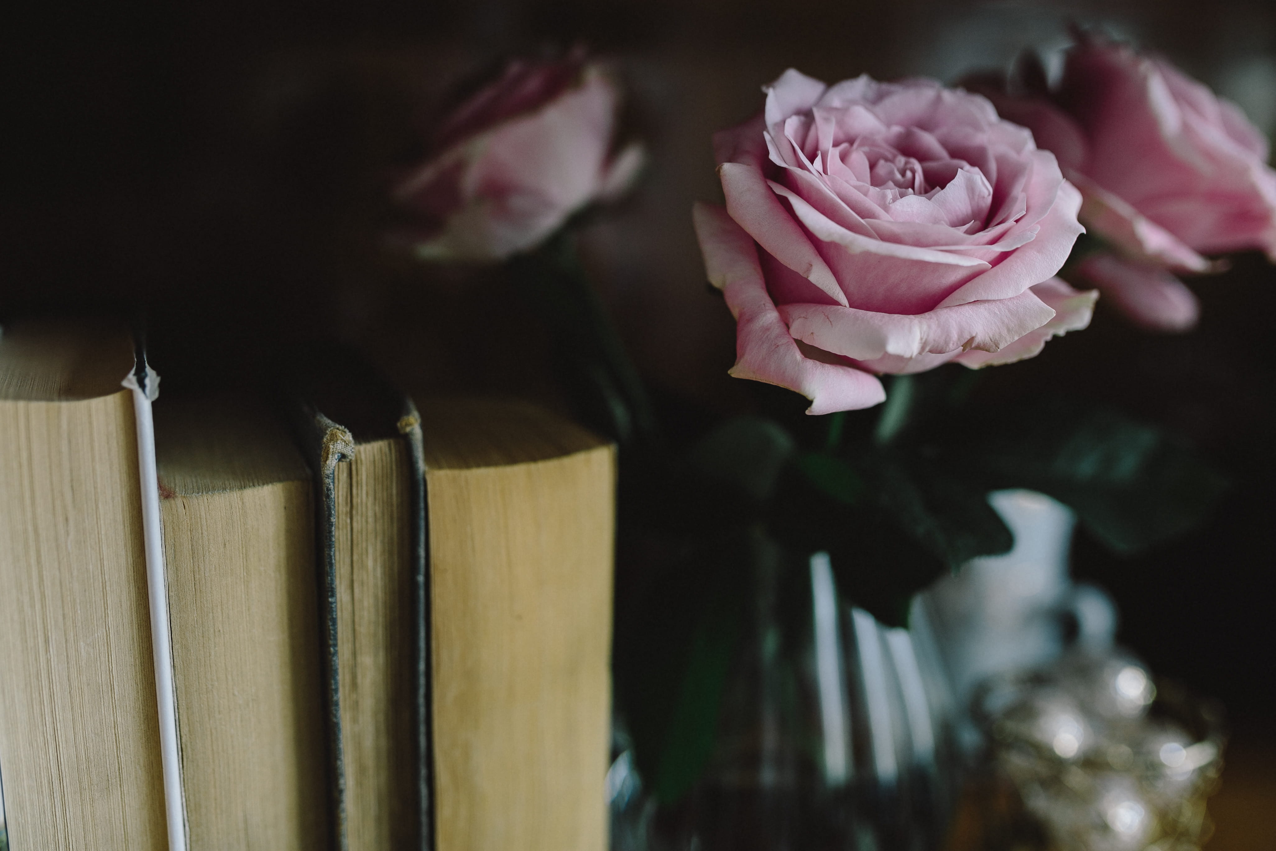 vulnerability, fragility, rose, rose - Flower, pink roses, no people, essentials, petal, reading, pitcher - jug, freshness, 4K, indoors, pink color, publication, HD Wallpaper
