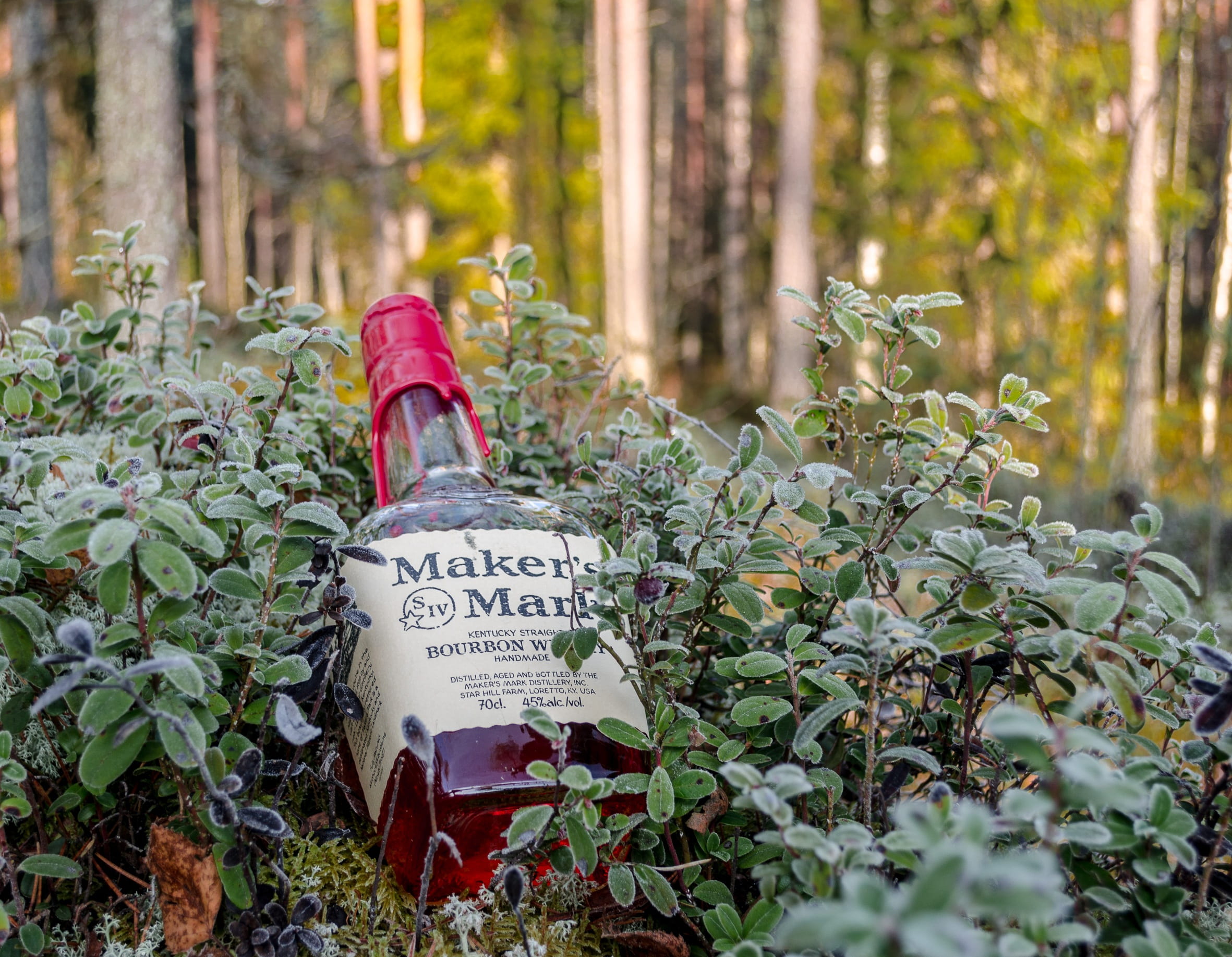 makers mark, selective focus, bourbon, land, nature, blend whiskey, communication, message, beauty in nature, whiskey, green color, growth, tranquility, HD Wallpaper