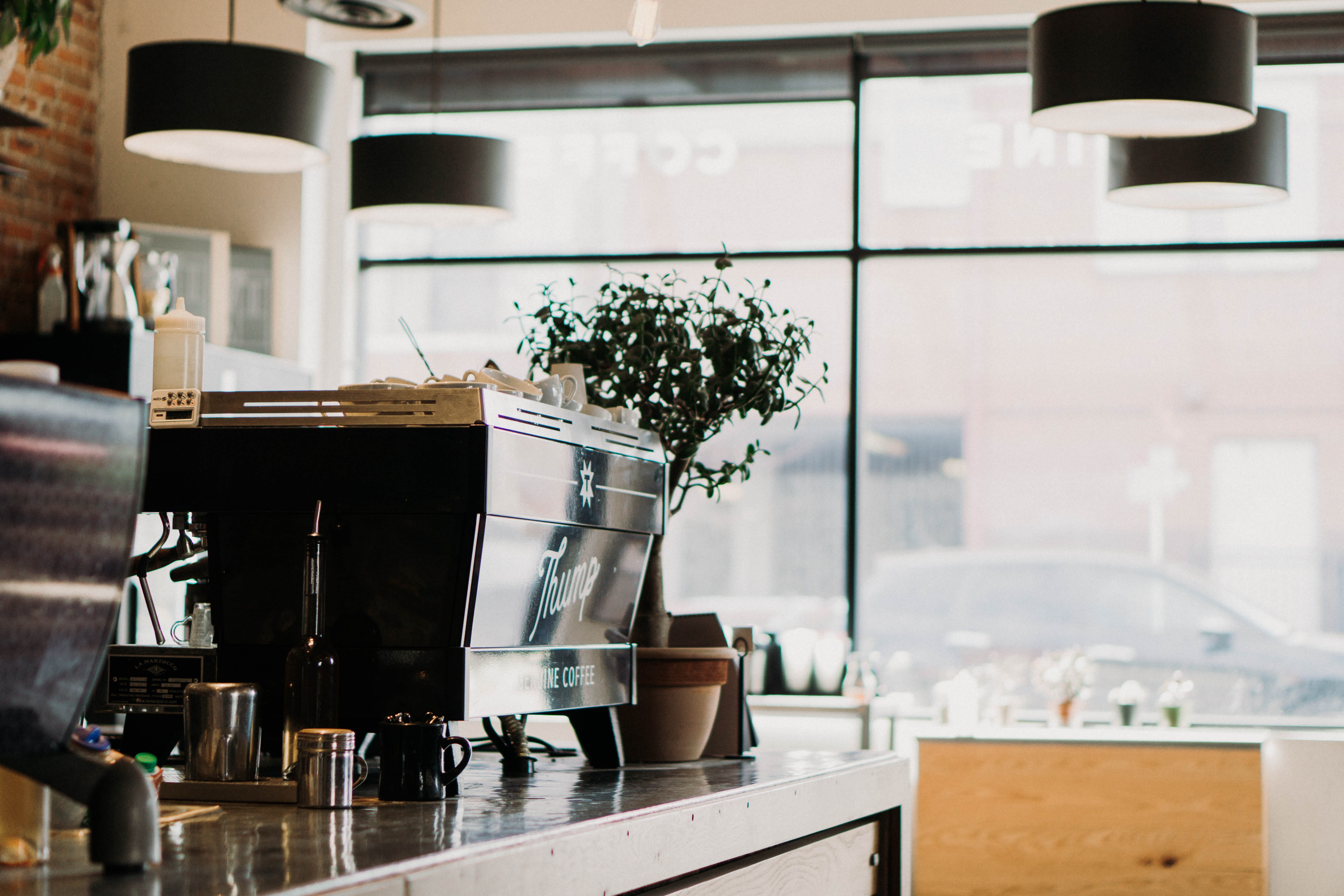 light, 5K, espresso machine, coffee maker, plant, oven, breakfast, coffee shop, cafe, table, potted plant, indoors, day, still life, window, silver, coffee, HD Wallpaper