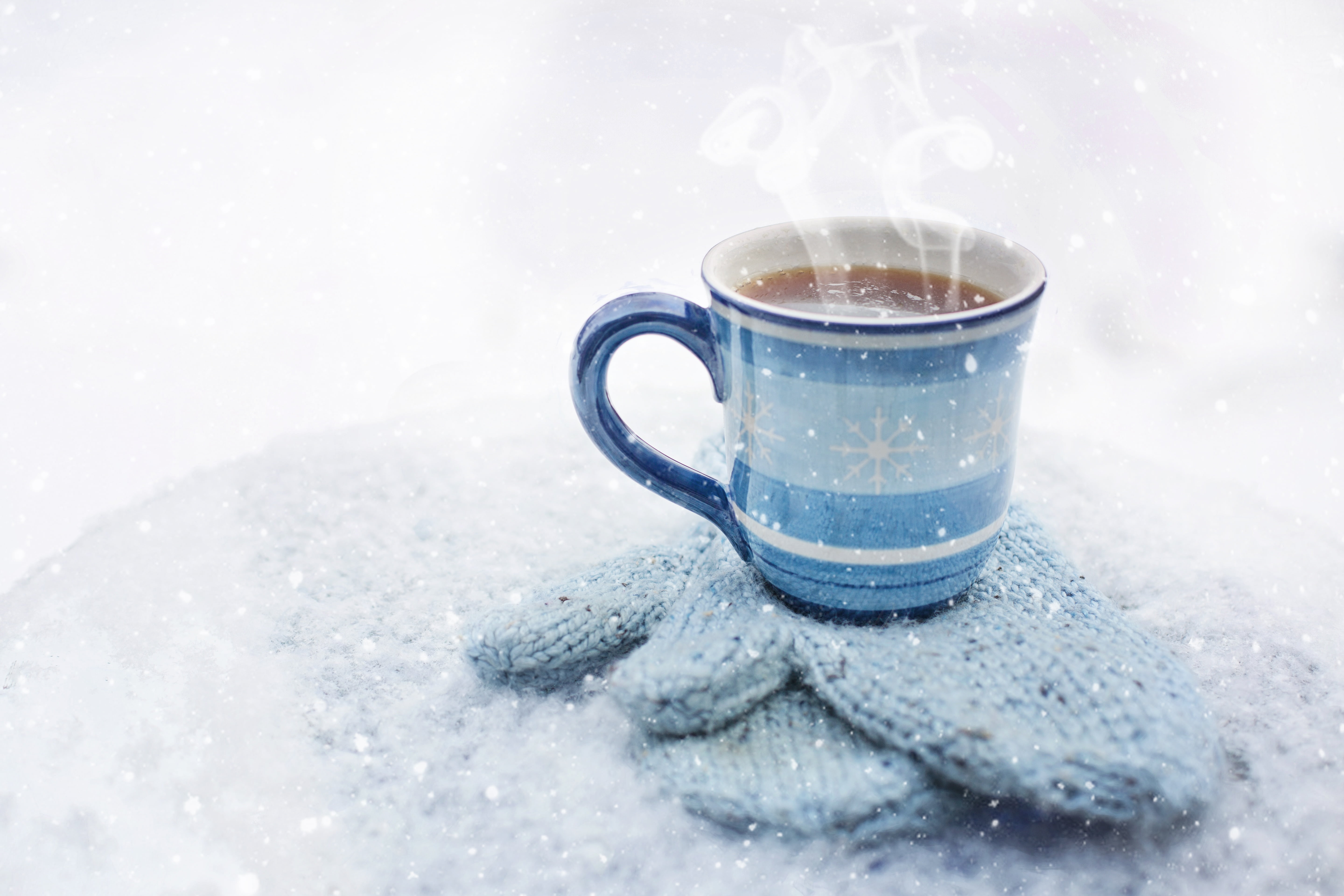 fresh, knitted, beverage, latte, warmth, brew, weather, snow, cold temperature, coffee - drink, crockery, white color, cup of coffee, cozy, winter, close-up, HD Wallpaper