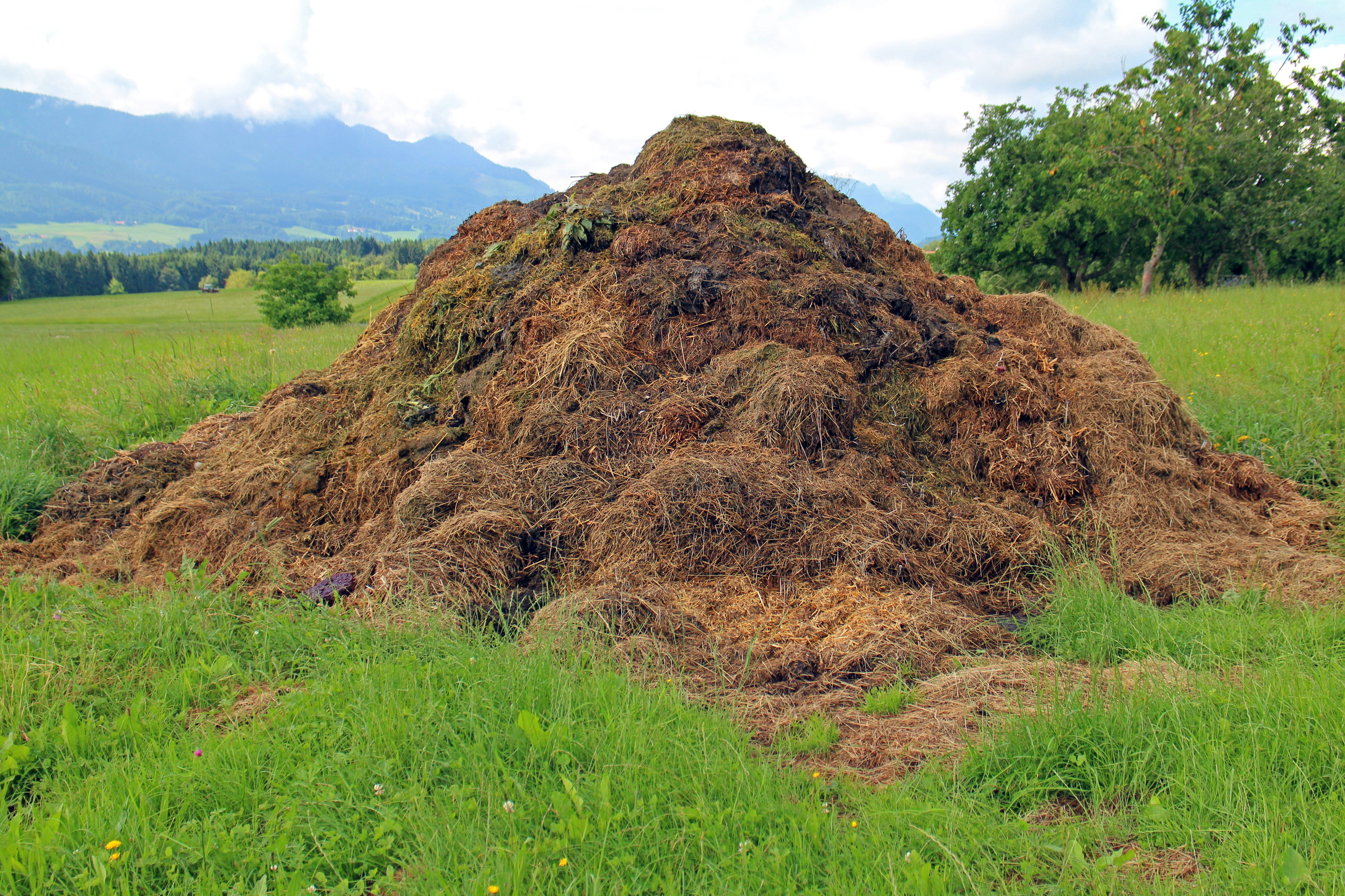 farm, rural scene, crap, compost heap, tree, eroded, beauty in nature, green color, non-urban scene, agriculture, sky, waste, plant, field, cloud - sky, HD Wallpaper