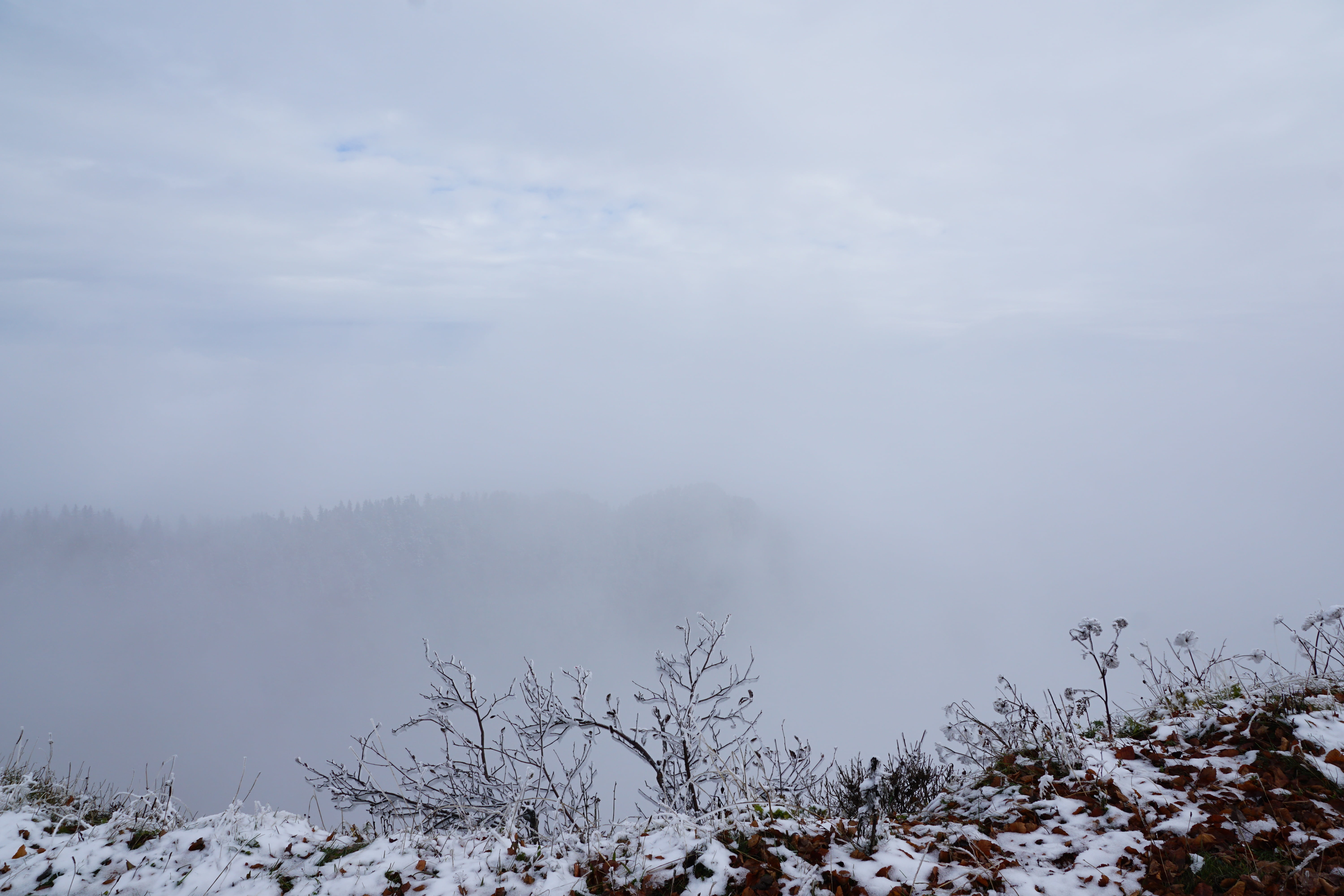 outdoors, nature, crap, day, scenics - nature, misty, tranquil scene, fog, no people, beauty in nature, winter, landscape, tree, land, jura, snowfall, cold temperature, HD Wallpaper