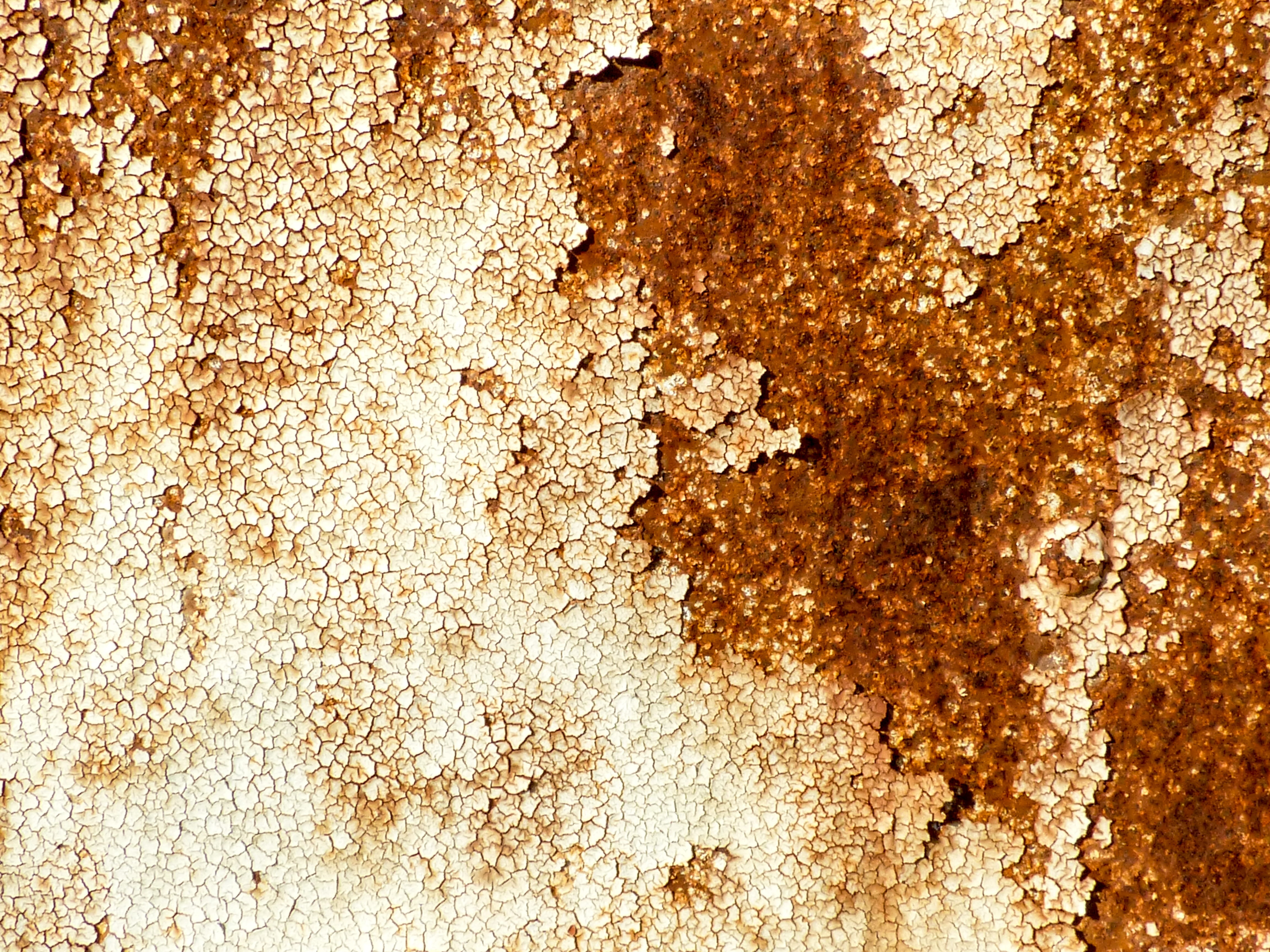 metal, rusty, grunge, rough, old, rot away alongside, material, abstract, mottled, full frame, backgrounds, rust, no people, structure, weathered, background, HD Wallpaper