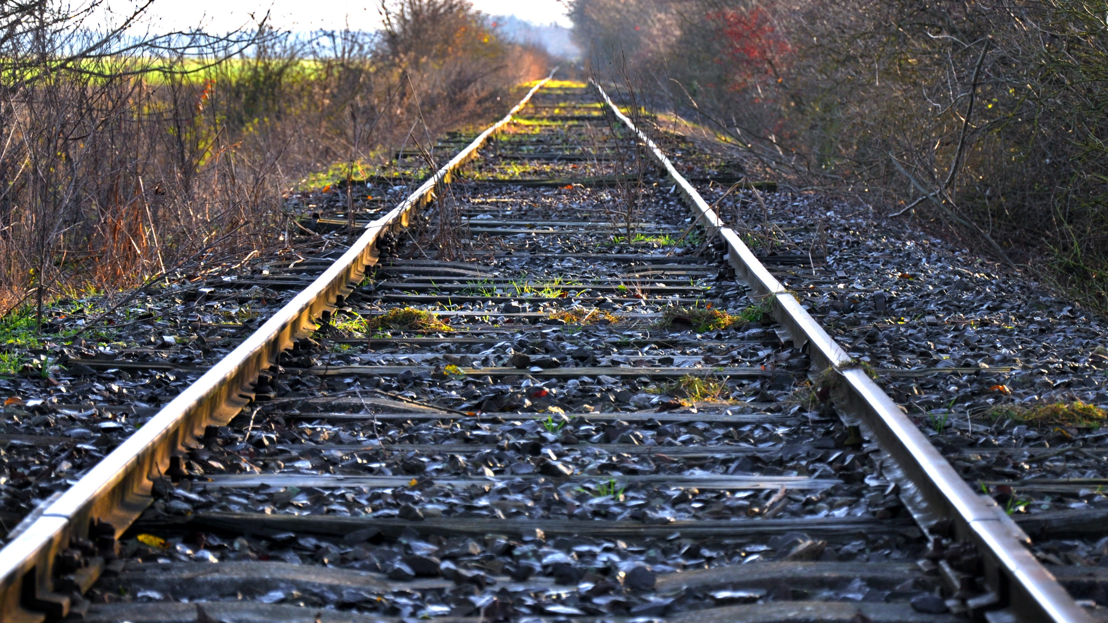 mode of transportation, vanishing point, 2K, parallel, no people, land, surface level, rot away alongside, outdoors, the way forward, railroad track, plant, HD Wallpaper