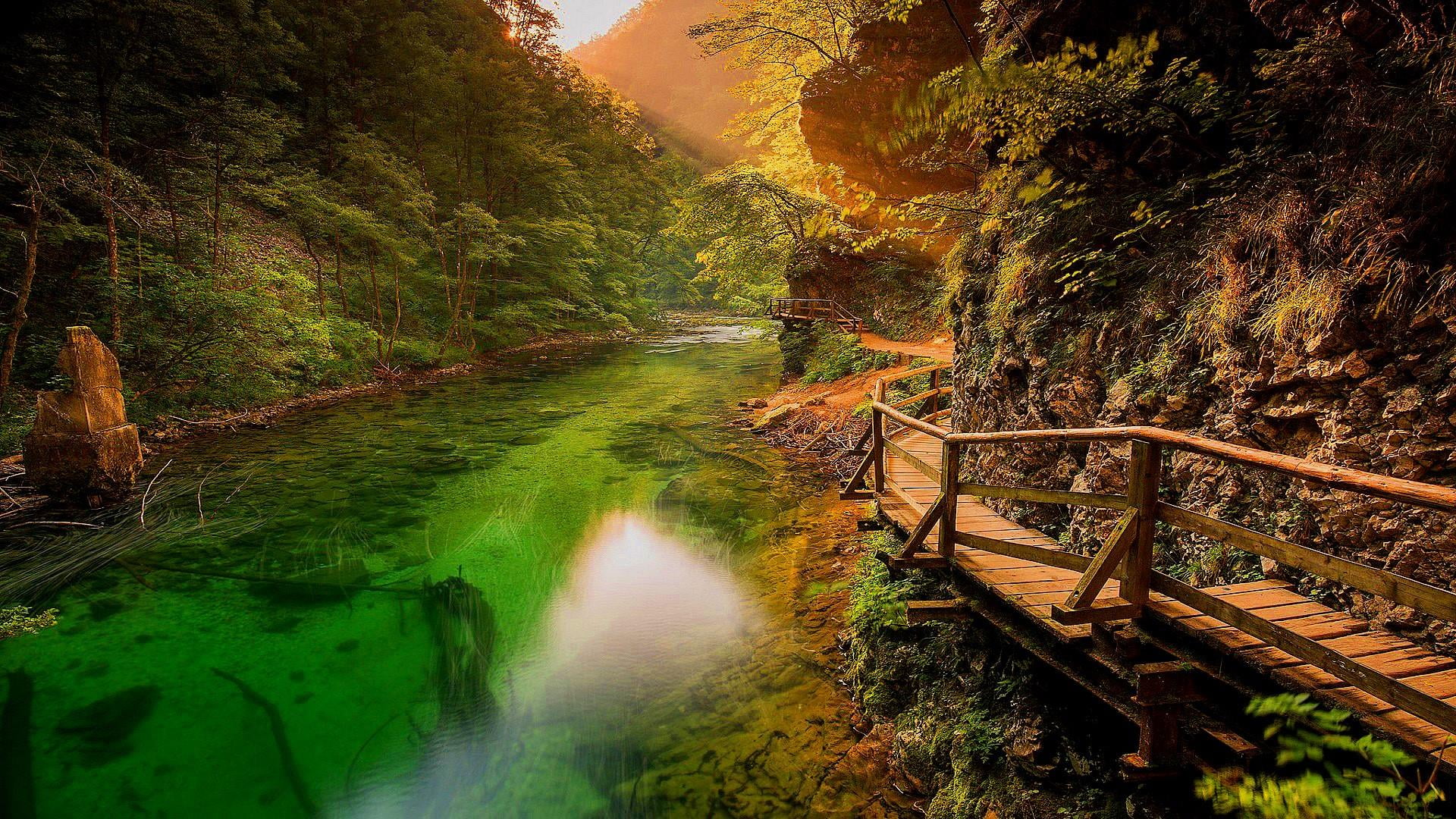 green color, 1080P, woodem walkway alongside river, no people, stream - flowing water, growth, land, tree, day, scenics - nature, tranquility, outdoors, HD Wallpaper