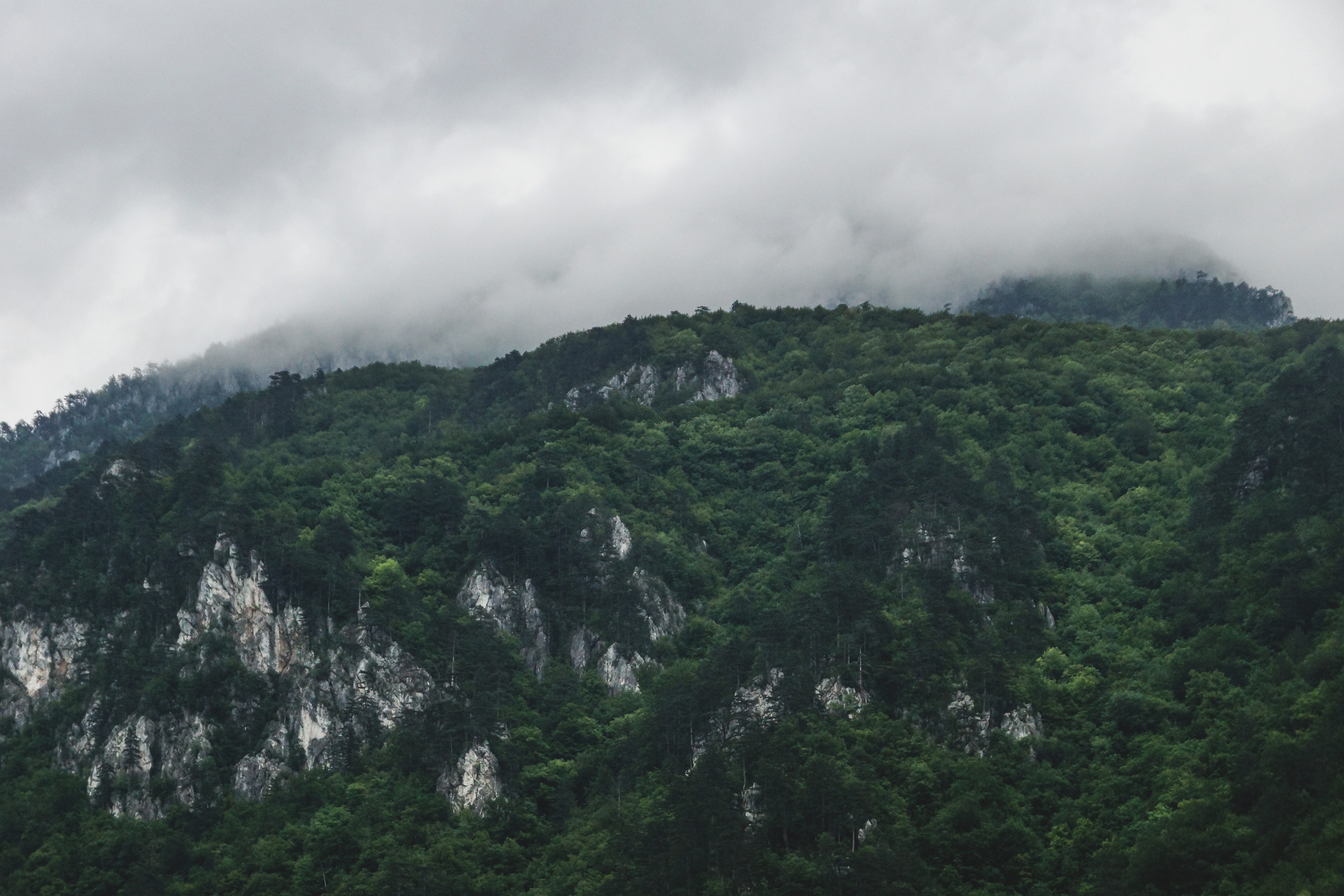 land, 5K, scenics - nature, plant, green color, green, cloud - sky, trees, fog, mountain range, baile herculane, no people, colorful, tranquility, growth, HD Wallpaper