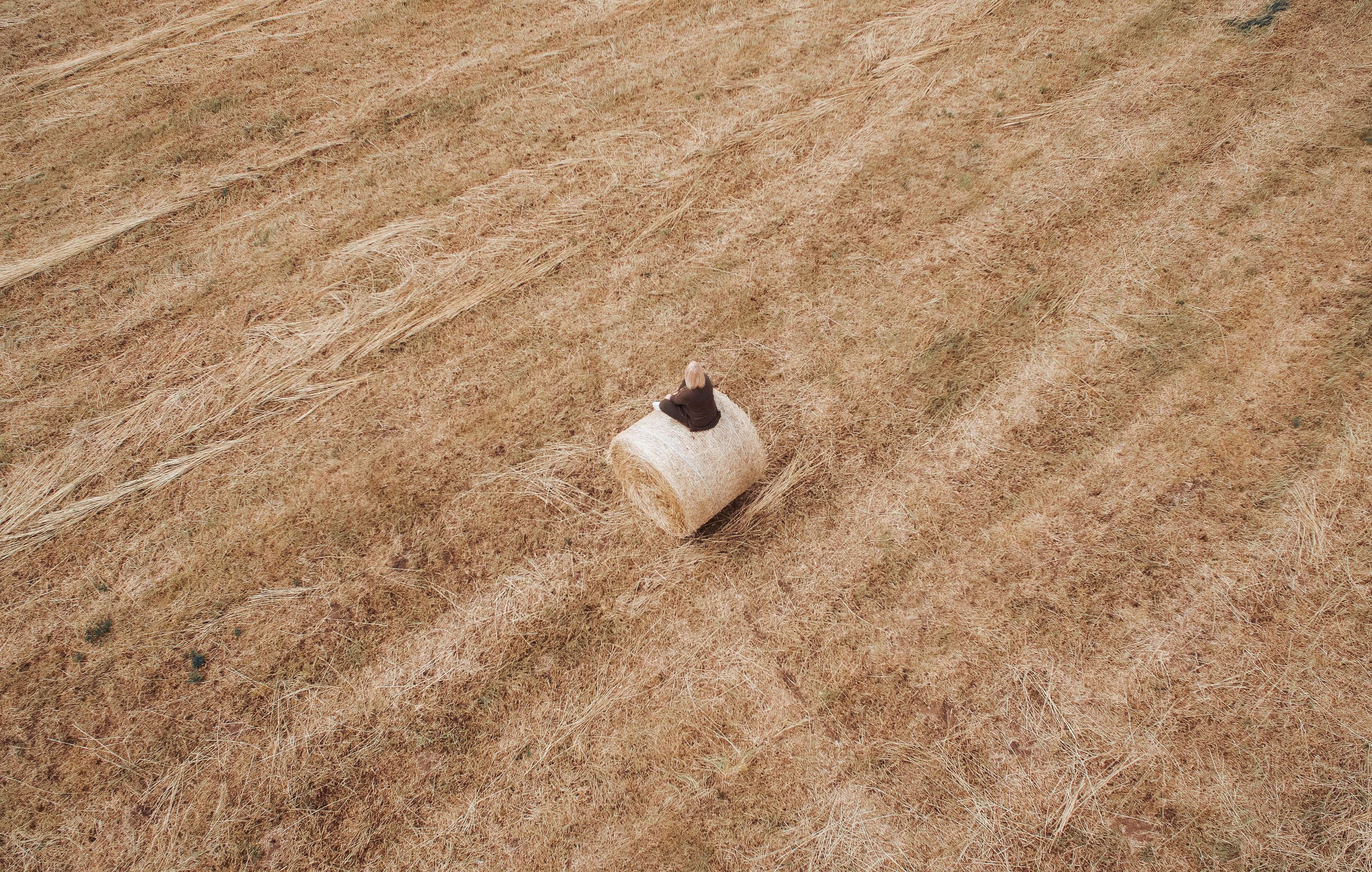 tranquil scene, field, plant, rural scene, land, grass, landscape, brown, farm, animal themes, bail, woman, high angle view, environment, no people, animal, HD Wallpaper