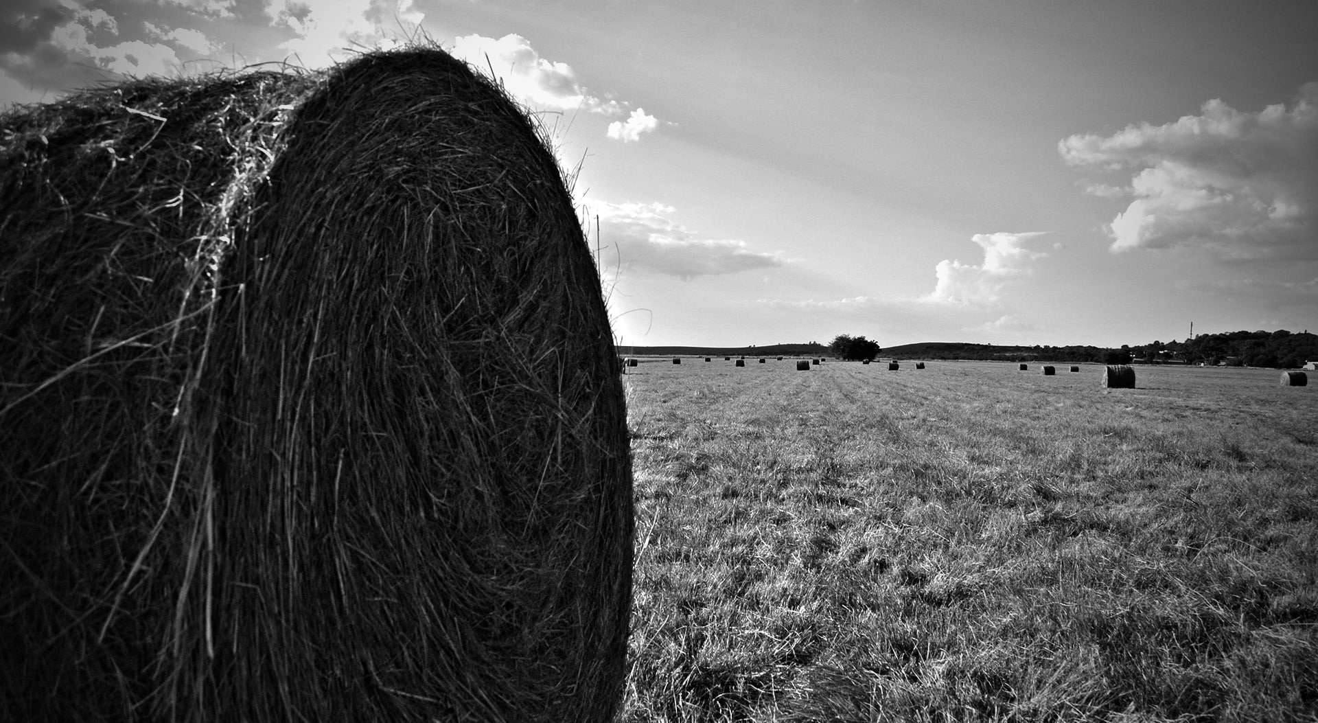 bail, hay, Landscape, Black and White, Nature, 1080P, HD Wallpaper
