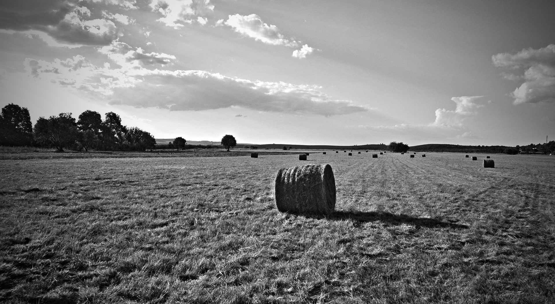 farm, environment, outdoors, no people, sky, cloud - sky, landscape, beauty in nature, 1080P, land, tranquil scene, day, hay, grass, Black and White, agriculture, HD Wallpaper