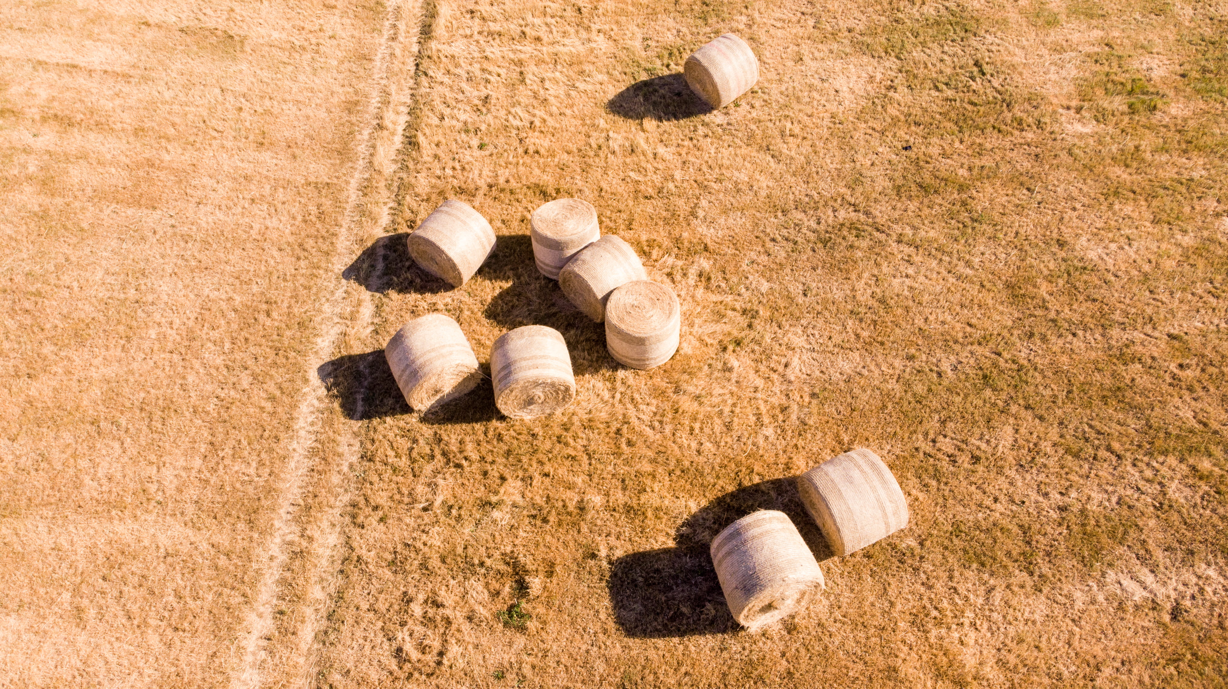 food, sphere, sport, countryside, hay bail, sand, roll, land, brown, container, 4K, aerial, view, no people, grain, outdoors, produce, wantage, motion, HD Wallpaper