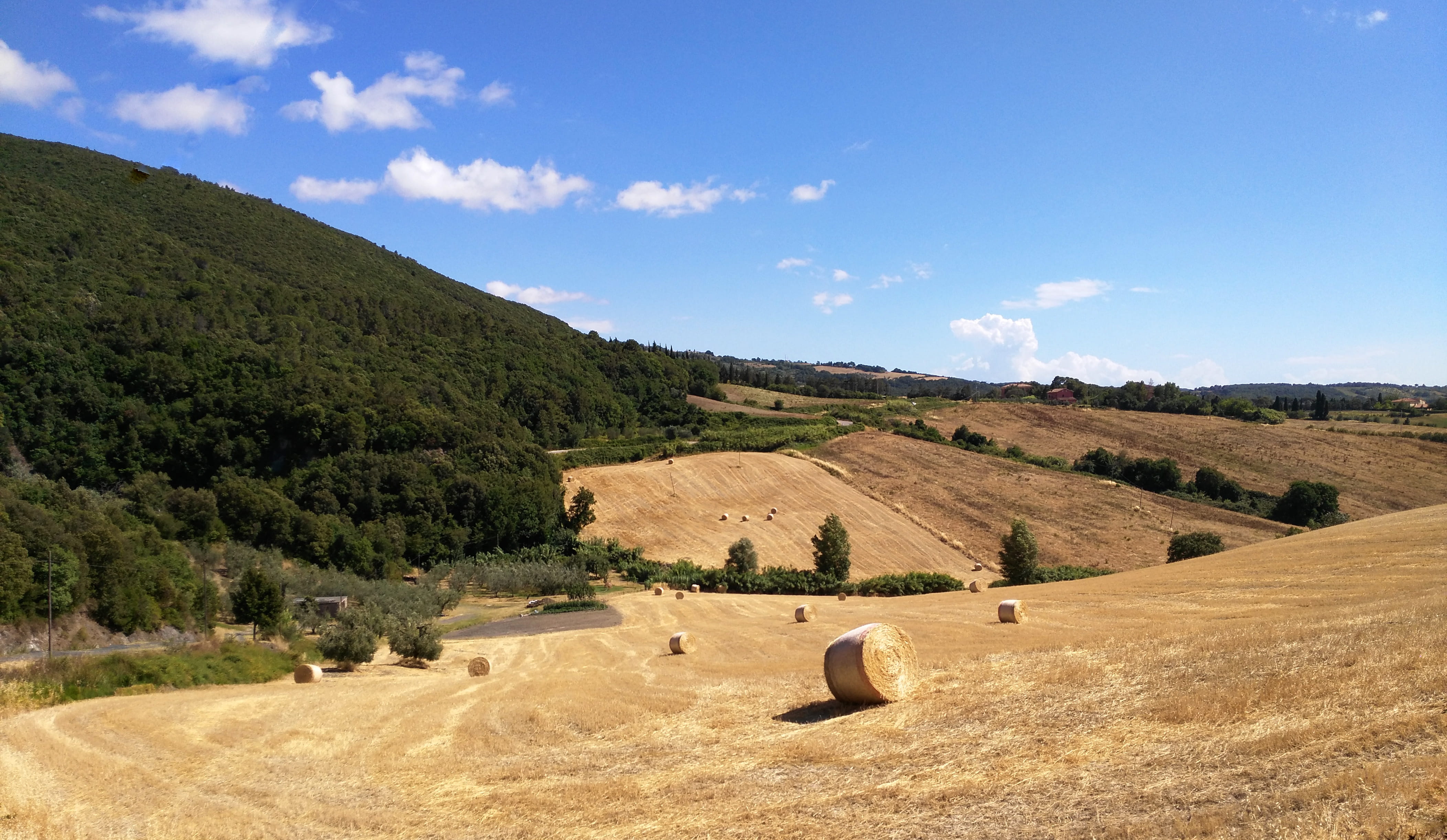 santa luce, field, environment, 4K, plant, tranquil scene, agriculture, landscape, beauty in nature, hay, nature, scenics - nature, non-urban scene, sky, HD Wallpaper