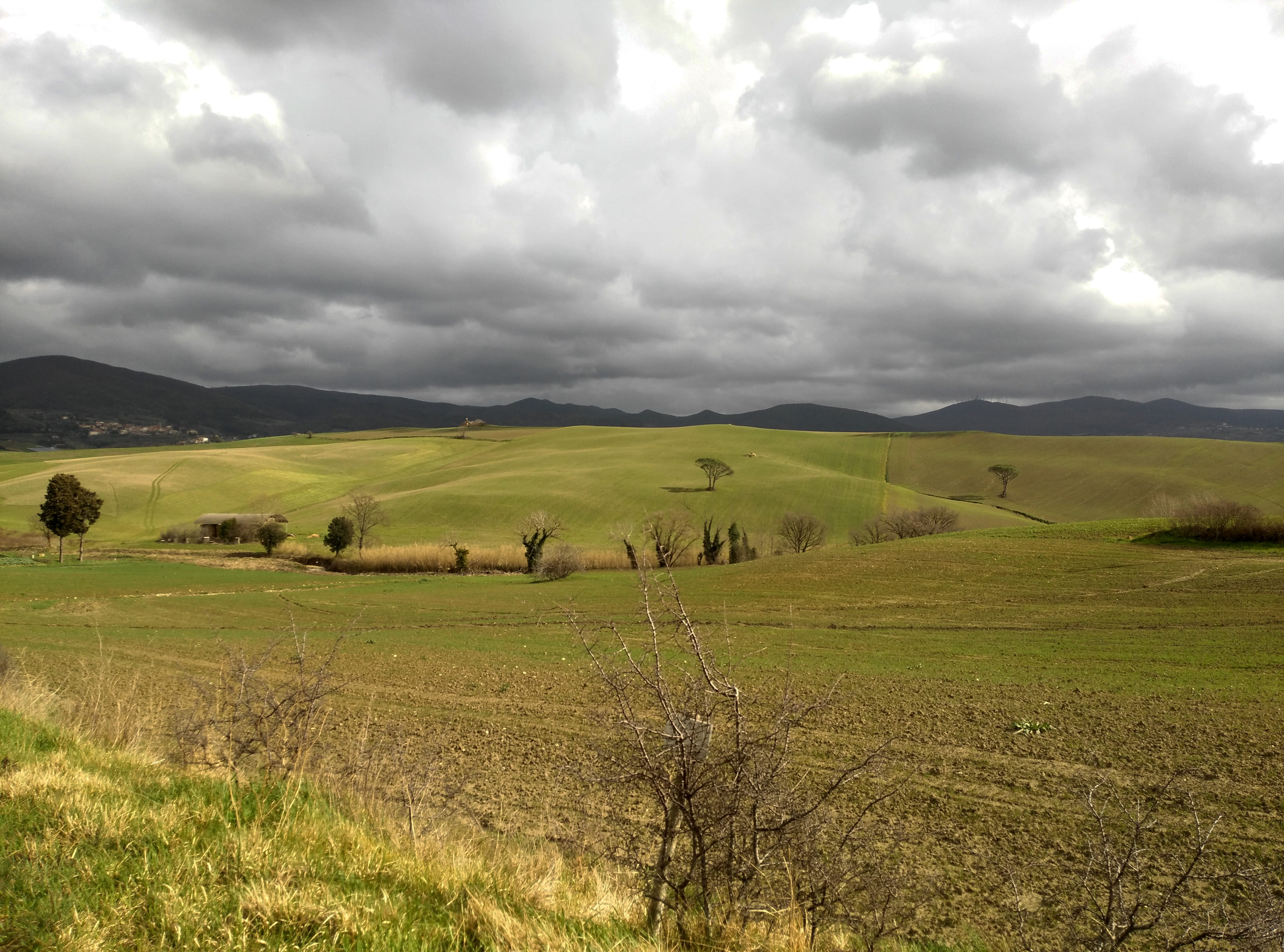 environment, sky, green color, land, day, nature, rural scene, colline di santa luce, tranquil scene, italia, beauty in nature, non-urban scene, agriculture, HD Wallpaper
