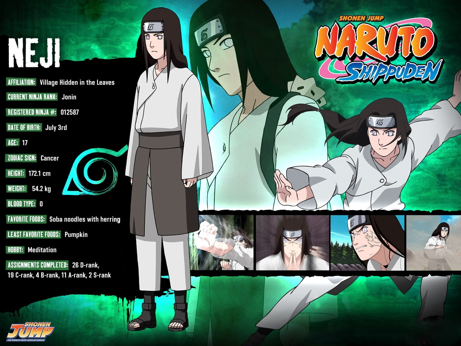 front view, female likeness, clothing, representation, Naruto, Posture, male likeness, western script, communication, Girl, Hyuuga neji, number, Brunette, HD Wallpaper