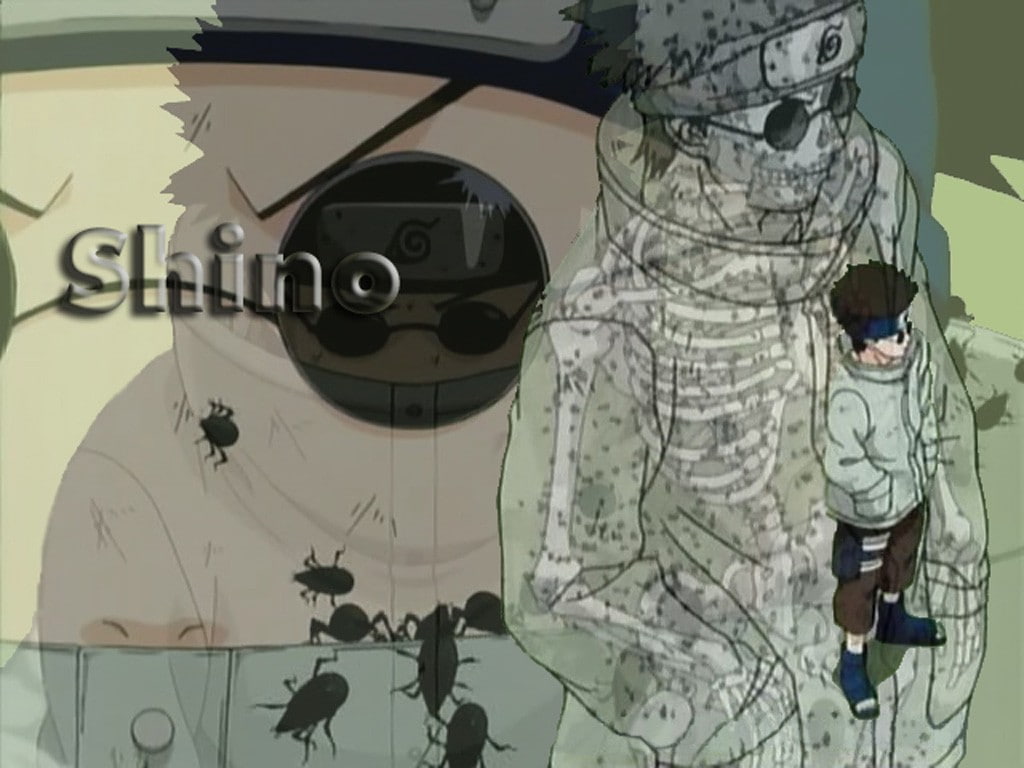 480P, insect, Aburame Shino, Naruto Shippuuden, HD Wallpaper
