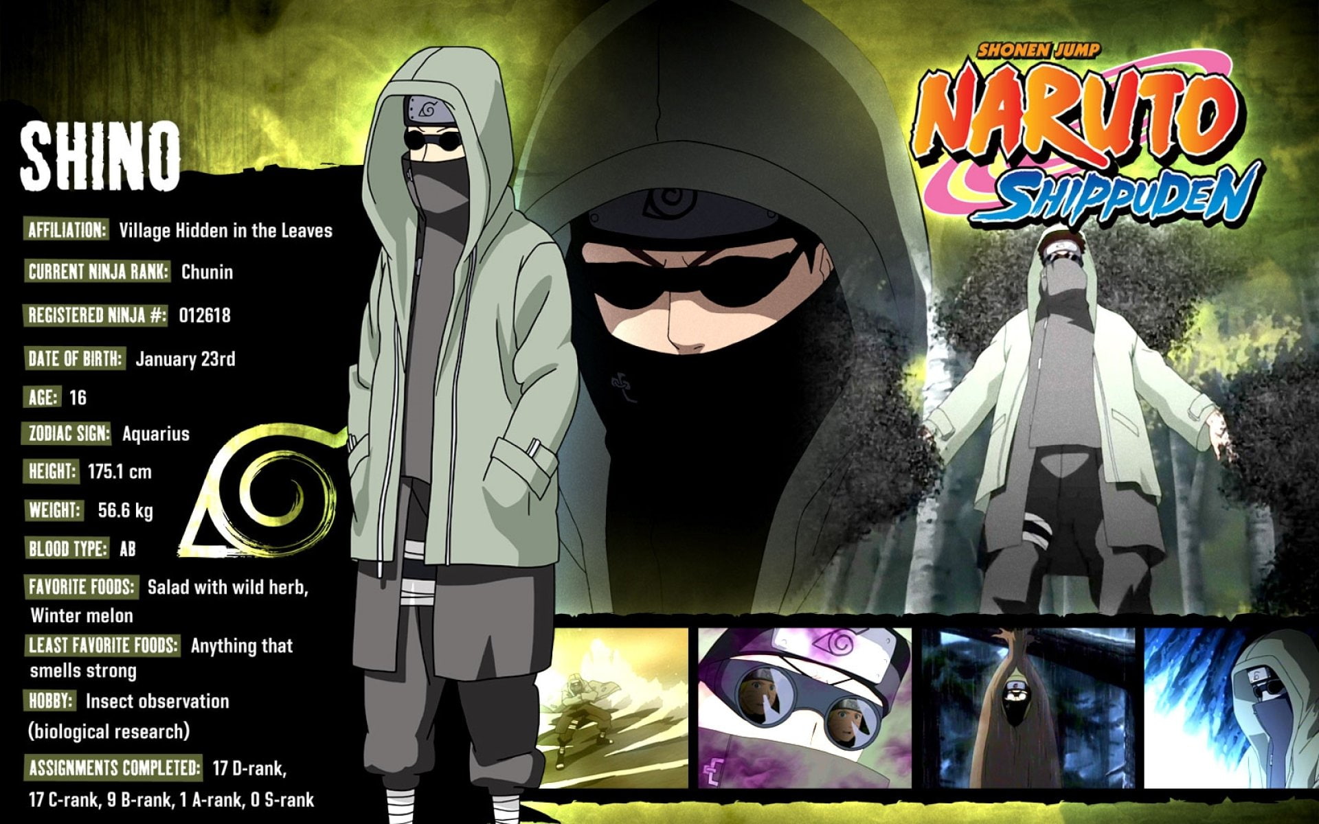 1080P, Shino Aburame, Anime, Naruto, HD Wallpaper