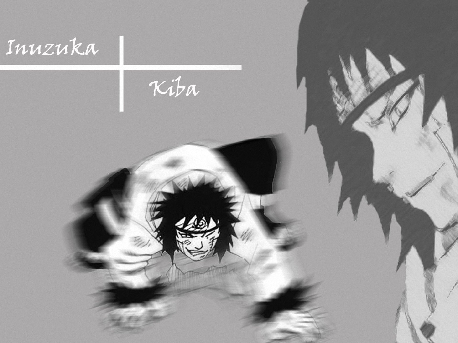 Anime, 1080P, Kiba Inuzuka, Naruto, HD Wallpaper