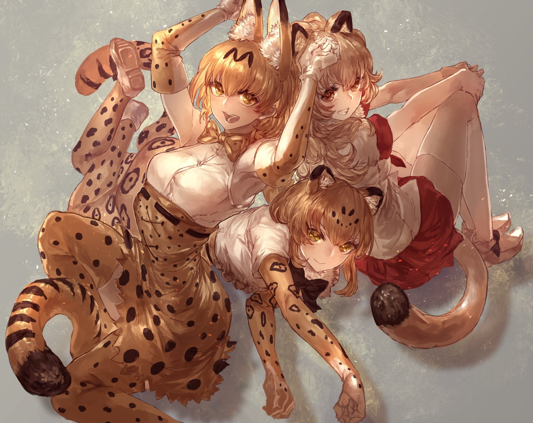 720P, Jaguar (Kemono Friends), Anime, Lion (Kemono Friends), Serval (Kemono Friends), Kemono Friends, HD Wallpaper