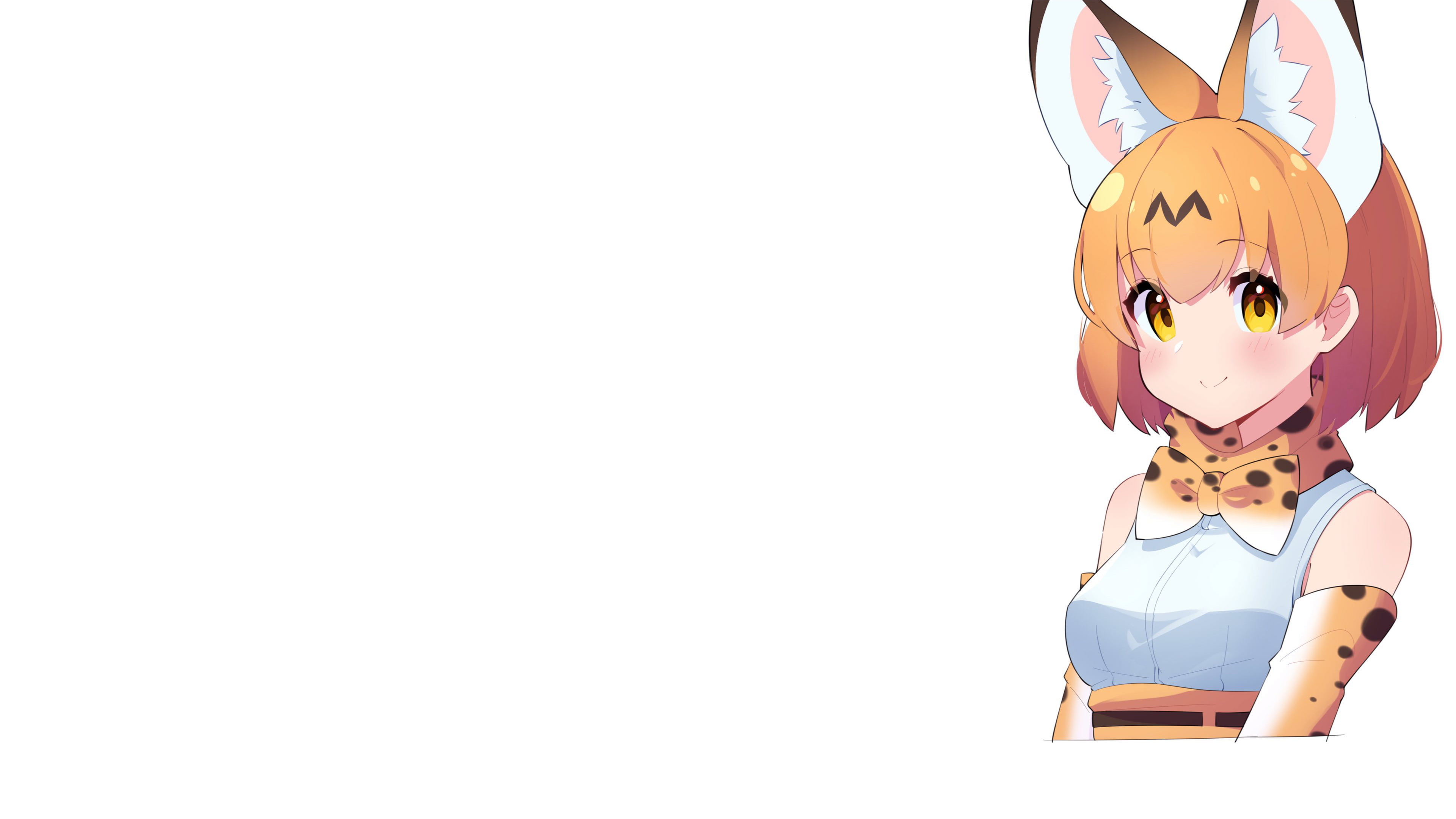 white background, anime, Serval (Kemono Friends), 4K, Kemono Friends, anime girls, animal ears, HD Wallpaper