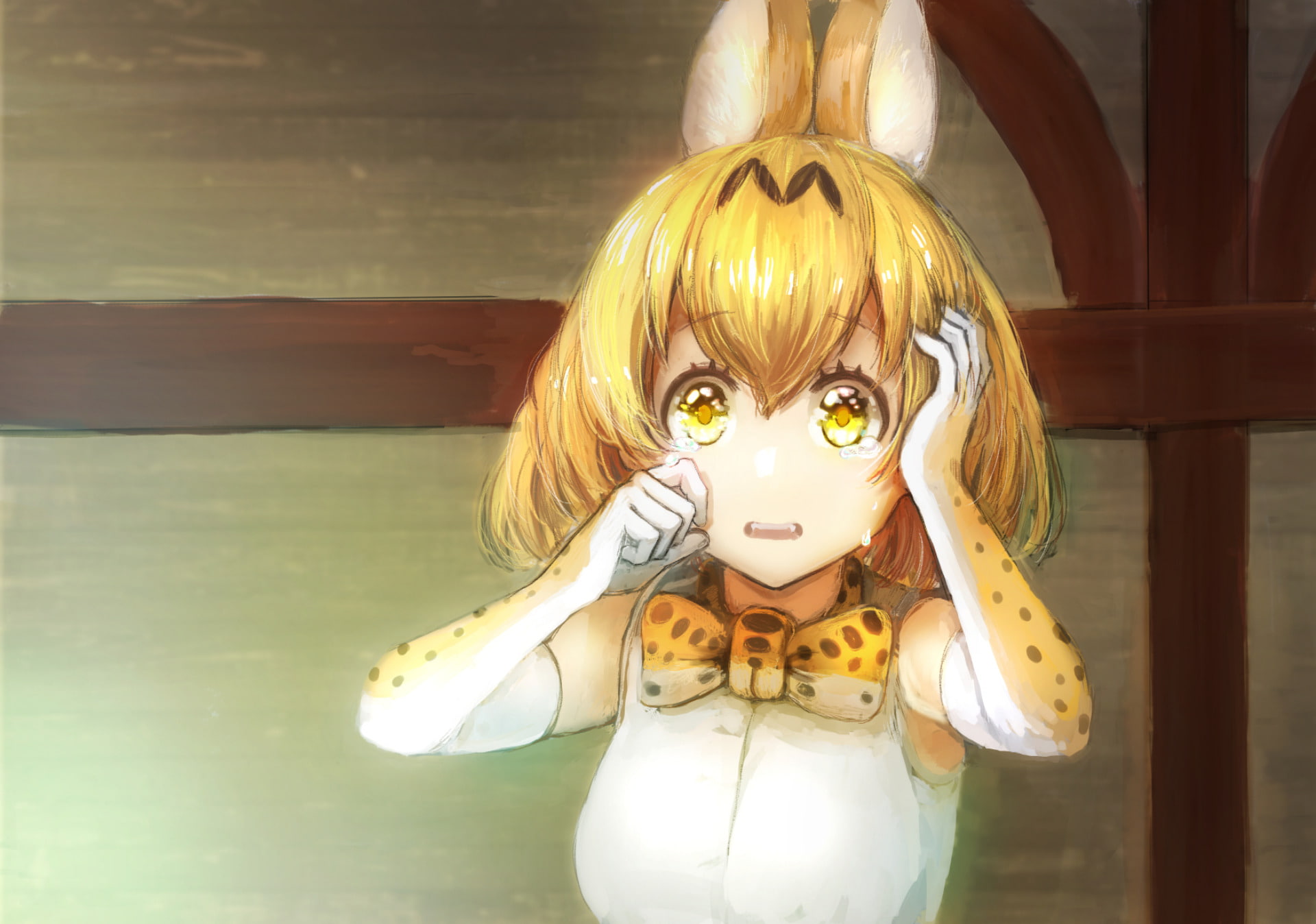 Kemono Friends, Anime, Serval (Kemono Friends), 1080P, HD Wallpaper