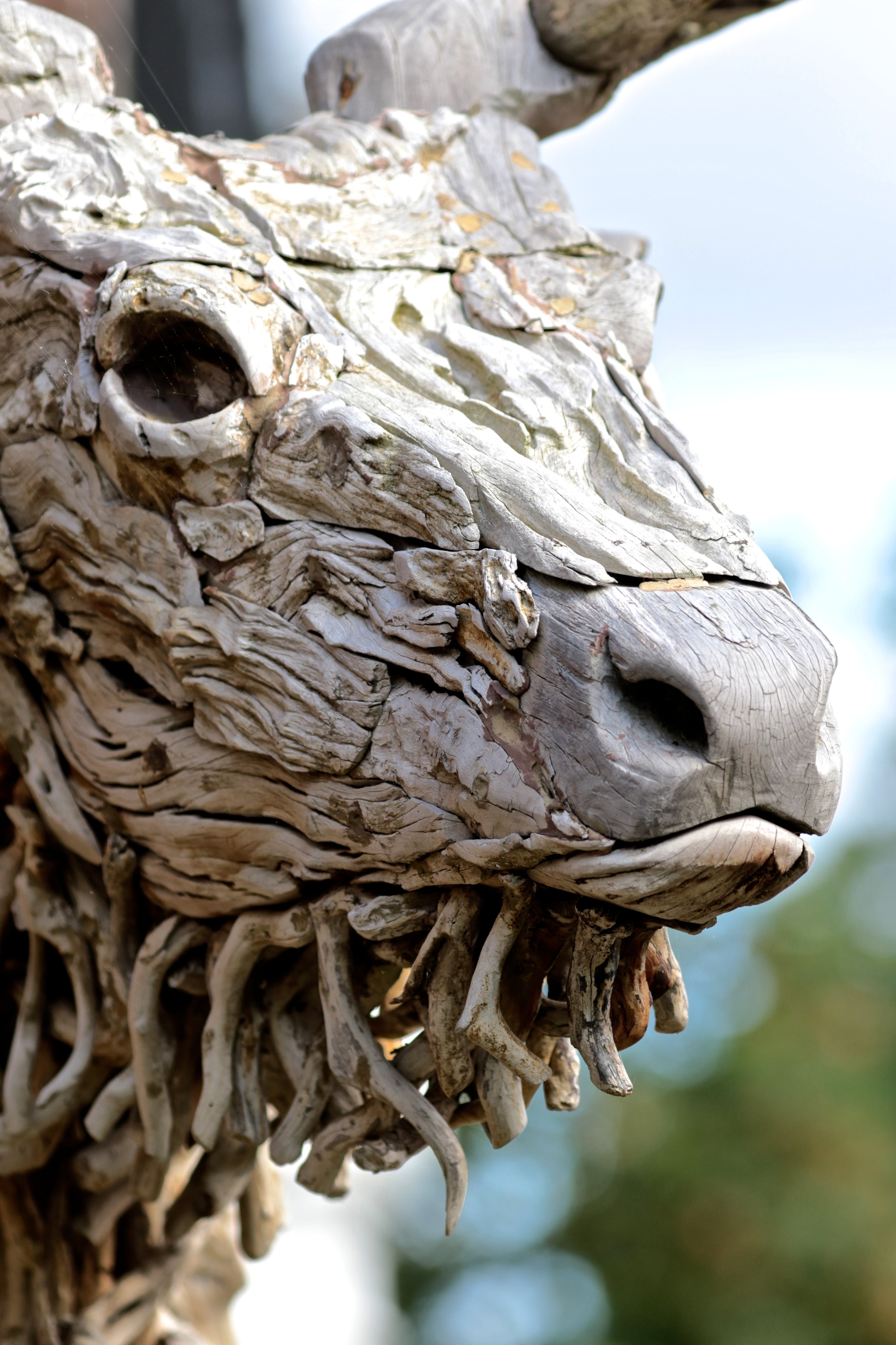 wood - material, pattern, animal, creativity, textured, close-up, deer, oakley court hotel, weathered, artistic, carving, art and craft, day, craft, statue, Phone HD Wallpaper
