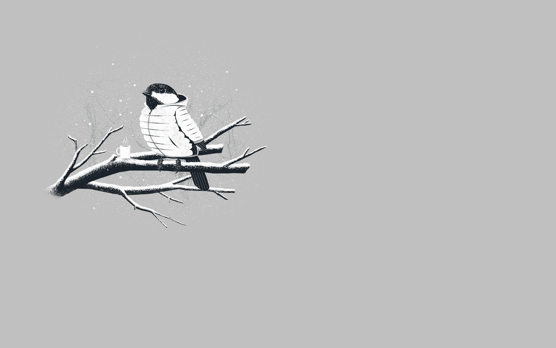 sitting, nature, invertebrate, animals in the wild, copy space, cut out, 1080P, indoors, studio shot, one person, one animal, insect, digital composite, HD Wallpaper