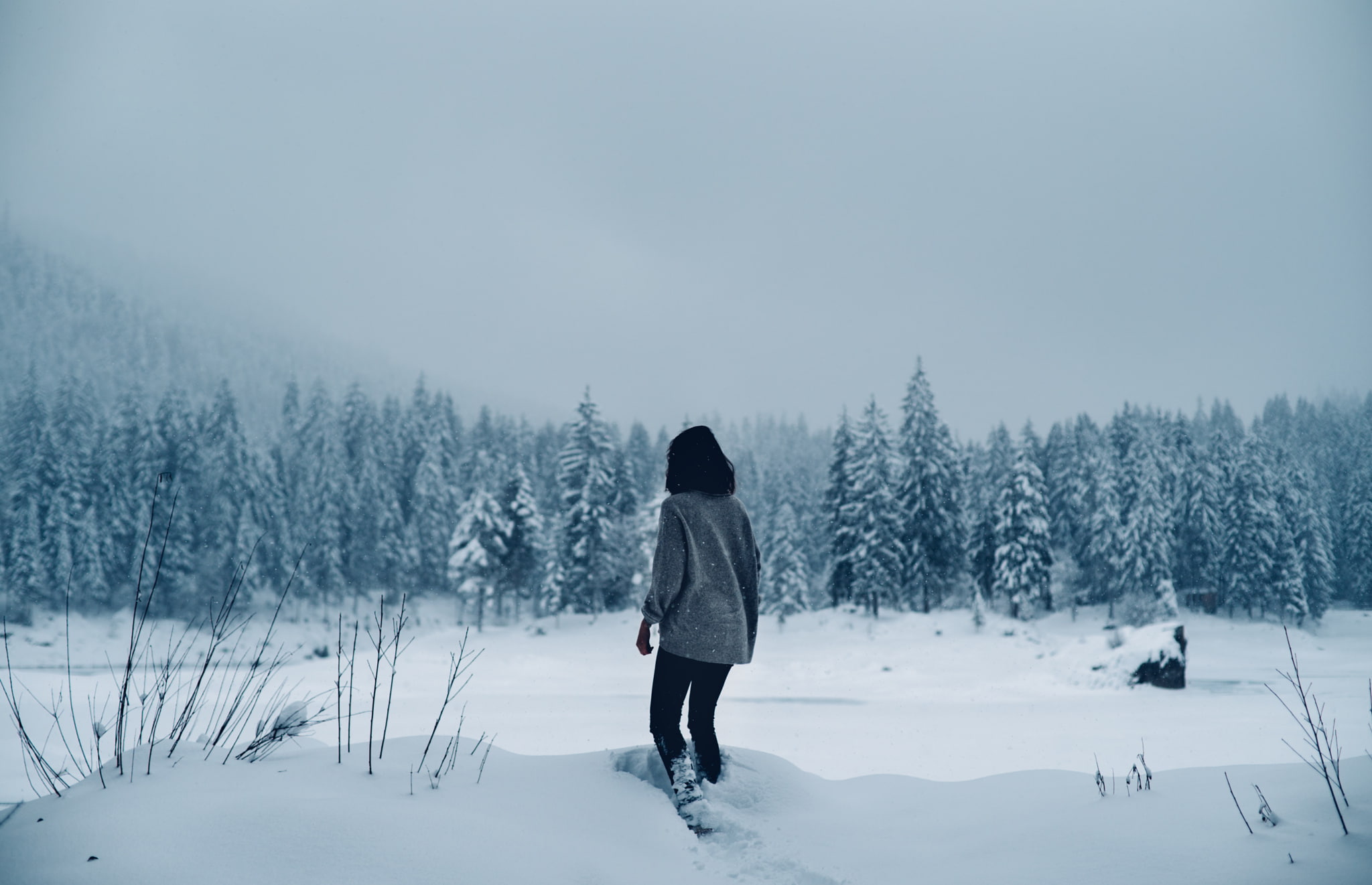 1080P, snow covered, sad, comfy, landscape, snow, sweater, pine trees, trees, white, HD Wallpaper