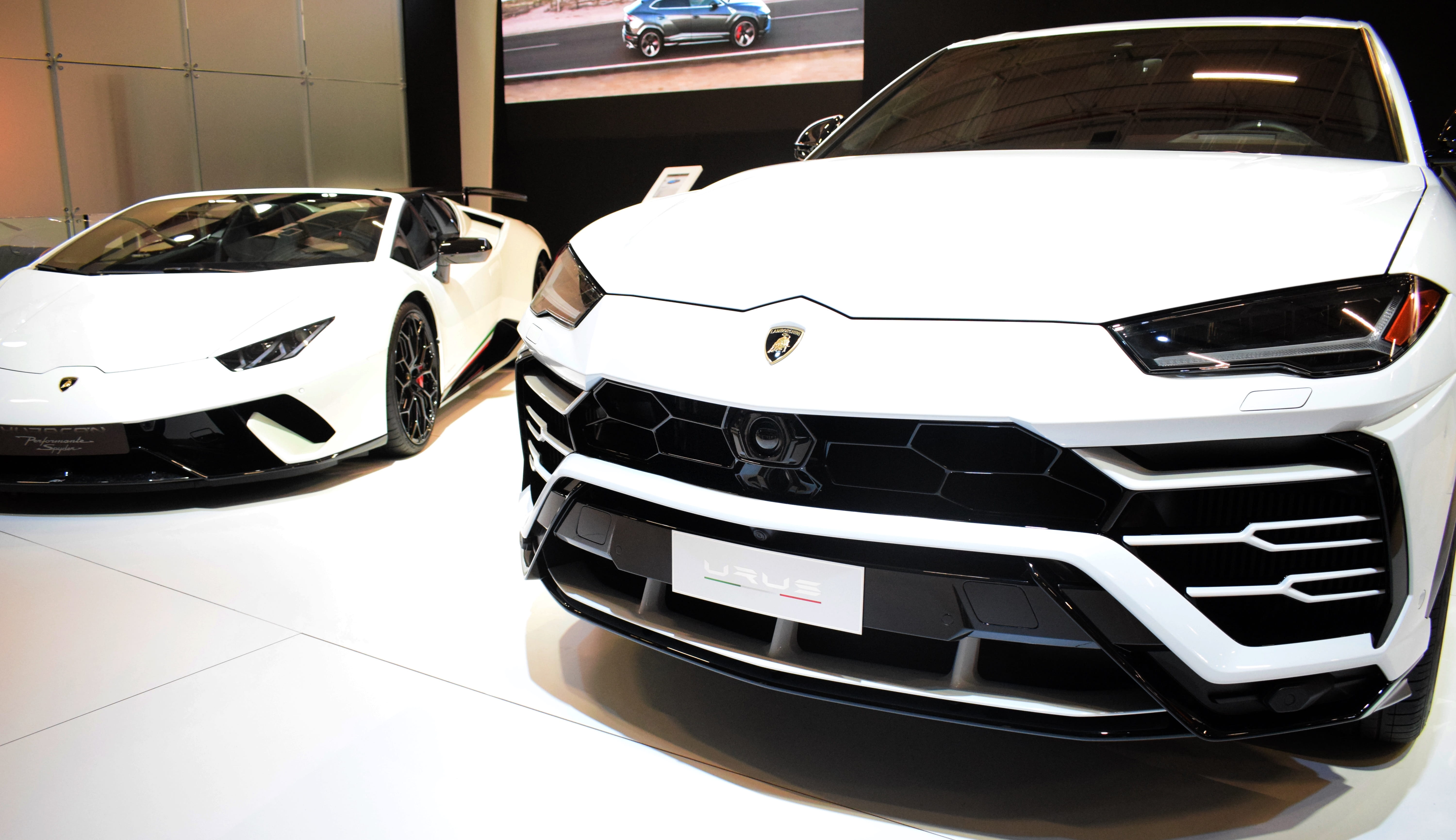 white car, white, front, indoors, mode of transportation, modern, reflection, vehicle, automatic, retail, speed, automobile industry, stationary, aventador, HD Wallpaper